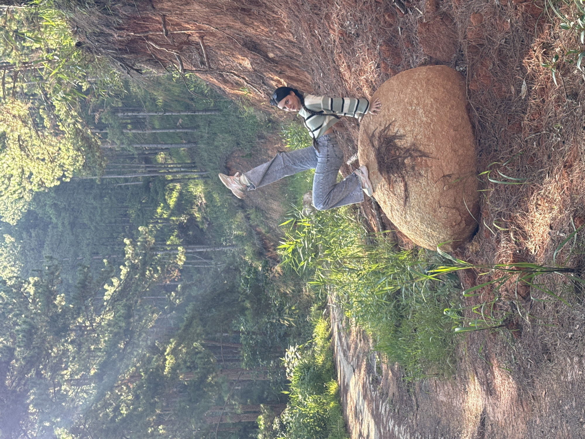 A young woman poses on a large rock on the side of a path in what appears to be a forest. The rock has dry grass or roots attached to its surface. The path is bordered by tall grass and pine trees. The location is likely near Da Lat, Vietnam due to the distinctive pine tree forest environment. She is wearing a striped sweater, jeans, sneakers, and a cap. She is standing on the rock, leaning to one side, and extending one leg. The photo is taken from a low angle and has been rotated counter-clockwise.