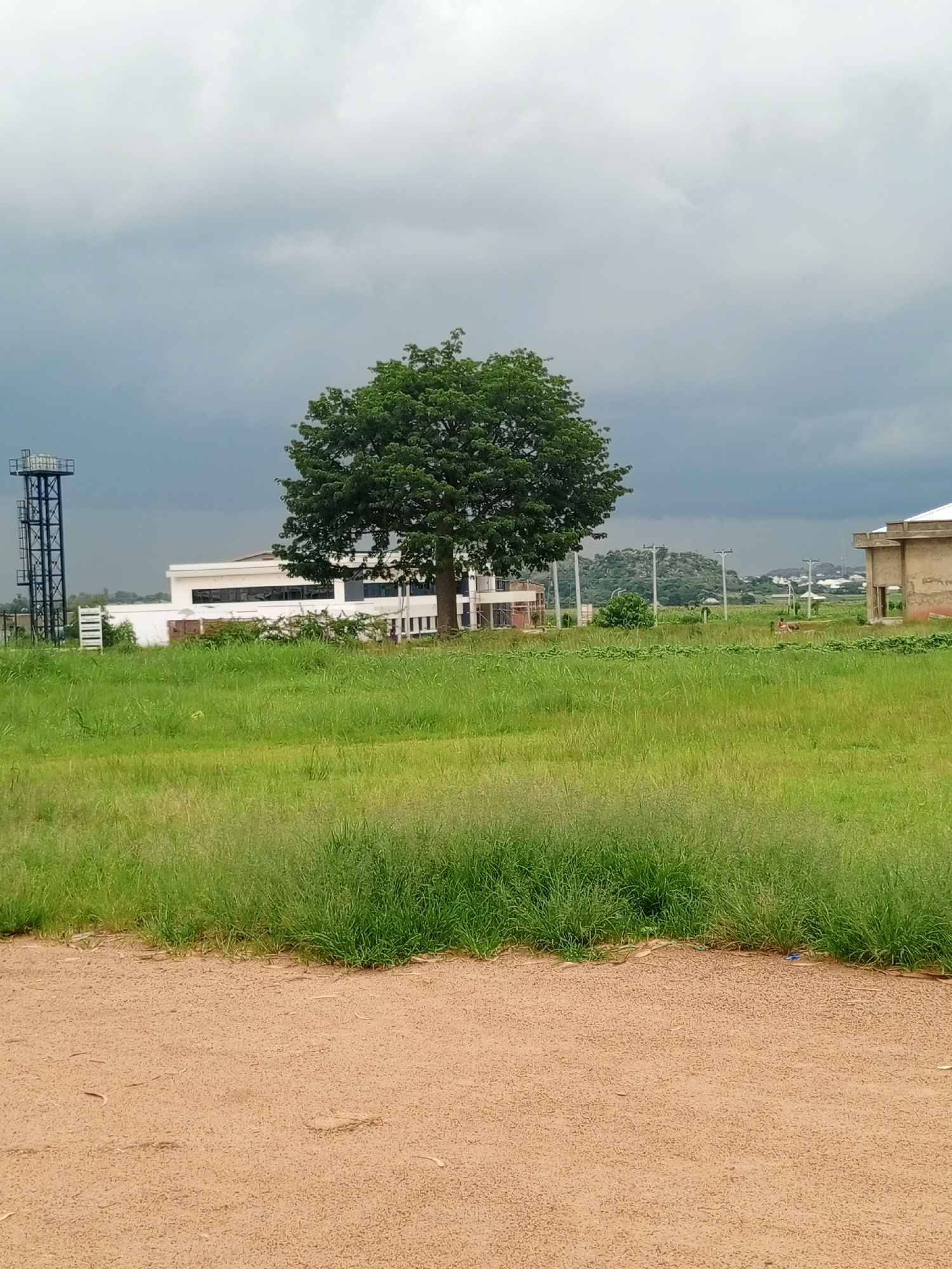 In Gwong, Nigeria, an overcast sky looms over a landscape dotted with modern structures and natural elements. A prominent, full-grown tree with lush green foliage stands center-frame, casting a subtle shadow on the surrounding grassy field. To the left, a tall, industrial-looking water tower with a metal lattice structure and a tank at the top is visible. Adjacent to the tower is a low-rise, white building with a modern architectural design, featuring numerous dark-tinted windows. To the right of the tree, another building is partially visible, characterized by beige walls and a lighter-colored roof. The foreground consists of a dirt path with small pebbles. The middle ground is an expanse of vibrant green grass, with some taller, wispy grasses near the dirt path. In the distance, a hilly terrain is visible under the diffused light of the cloudy sky. Several power poles with lines stretch across the horizon, indicating infrastructure in the area.