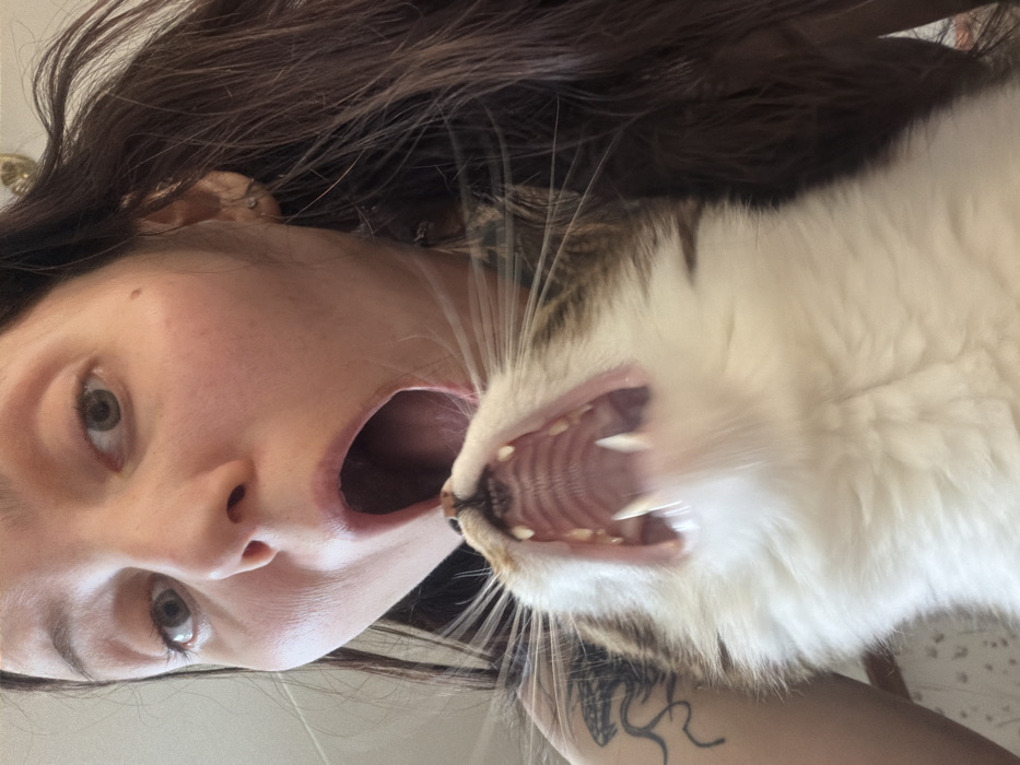 The image presents a close-up, slightly upward-angled perspective of an adult female and a domestic cat positioned in an indoor environment. The woman's upper face, with open eyes looking towards the camera, occupies the top portion of the frame. Her mouth is wide open. She has long, dark hair, and a tattoo, possibly depicting an octopus or similar creature, is visible on her left shoulder/upper arm. A small earring is discernible in her right ear.
Below the woman's face, the head and upper body of a tabby-and-white cat are visible. The cat's head is tilted upwards, and its mouth is also open exceptionally wide, revealing its full dentition, including prominent canines, and the ridged palate. Its whiskers are fanned out. The cat's fur is a mix of brown/black stripes and white. The interaction is characterized by the synchronized open mouths of both the woman and the cat, with the cat positioned directly beneath the woman's oral cavity.
The background is indistinct and out of focus, suggesting an interior setting with light-colored walls or surfaces on the left. A darker, possibly patterned fabric or surface is visible on the right, along with a faint, ornate metallic object behind the woman's head. The precise location within the city of Chaikovsky, Russia, cannot be determined from the visual evidence provided in the image, which depicts an indoor setting without identifiable landmarks.