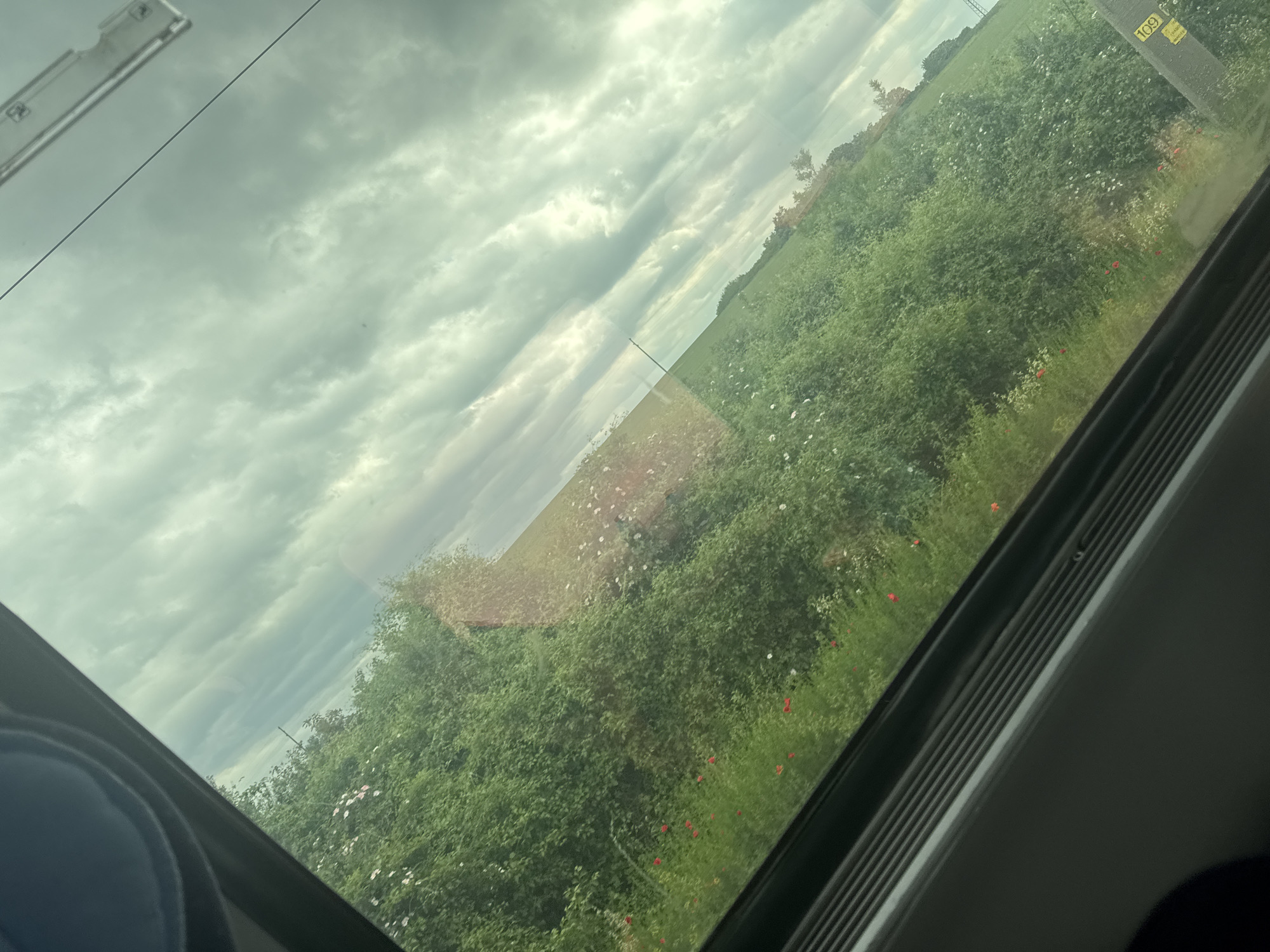 The image appears to be taken from inside a moving vehicle, potentially a train or bus, judging by the window frame visible in the lower and right side of the frame. The view through the window shows a rural landscape under an overcast sky.
The sky occupies the upper left portion of the image, filled with gray clouds. The landscape consists of green fields with dense vegetation, including bushes and trees. Some wildflowers, including red poppies and white flowers, are scattered throughout the vegetation. In the middle-distance there is a structure of a reddish color that seems to be a building.
There are utility poles with numbered plates adjacent to the vegetation. No people are visible. The environment suggests the outskirts of a town or a rural area, but it cannot be determined if it is in the city of Kaspichan, Bulgaria.