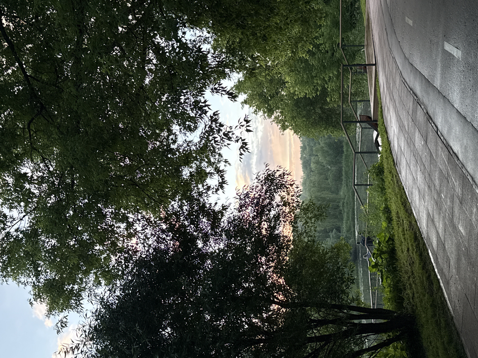 The image depicts a paved pathway in a park, likely a pedestrian or cycling path, curving towards the right. The path is composed of square concrete tiles with white marking lines. To the left of the path is a grassy area with a tree, and beyond that, a body of water, possibly a river or lake. There are two individuals seated near the water's edge. A railing runs along the embankment separating the pathway from the water. In the background, lush green trees and vegetation are visible, forming a dense forest. The sky above is partly cloudy with a hint of sunset colors, indicating it is late afternoon or early evening. The overall scene suggests a tranquil park setting. This location is likely in Moscow, Russia, given the typical urban park design and vegetation.