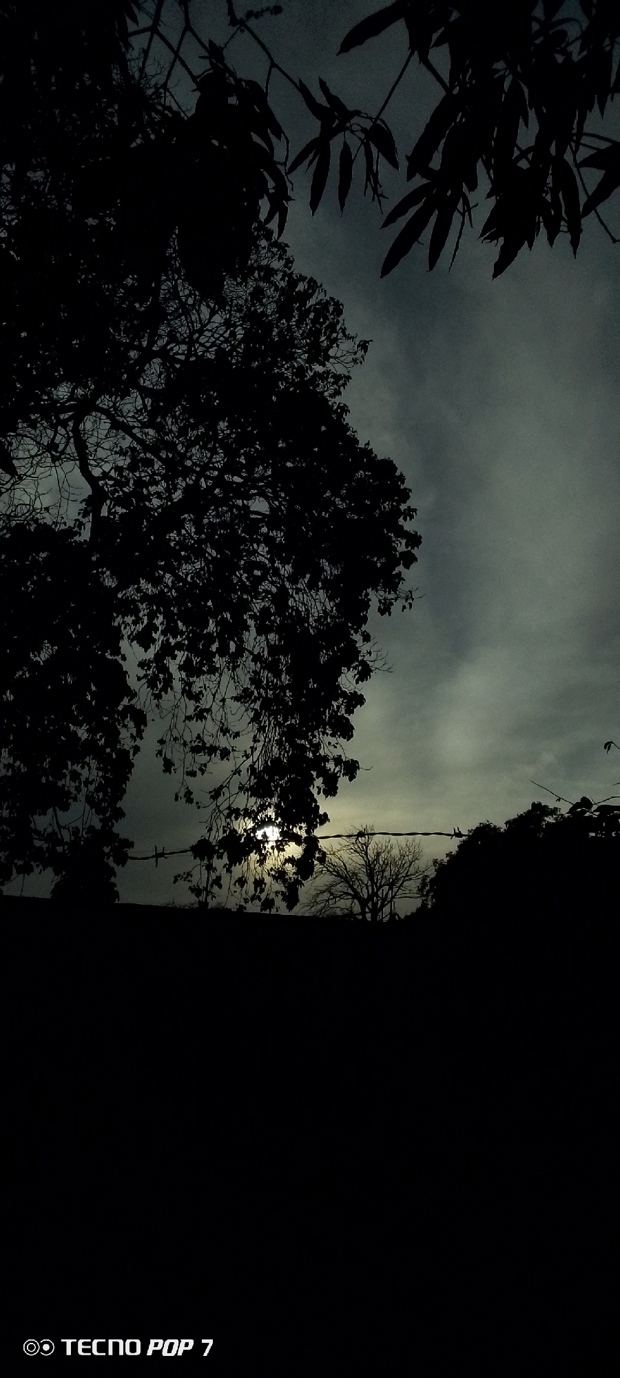 The image depicts a landscape at dusk or night, possibly in Altagracia, Venezuela, although that cannot be confirmed. A large tree silhouetted against the sky dominates the left side of the frame, while branches with leaves occupy the top right corner. The sky is overcast with visible light filtering through, indicating the presence of the sun or moon behind the clouds. A wire stretches across the mid-ground, with small bird-like shapes perched on it. In the distance, other trees are visible, silhouetted against the sky. The foreground is dark, making it difficult to distinguish specific details. The bottom left corner has "TECNO POP 7" printed, indicating the device used to capture the image.