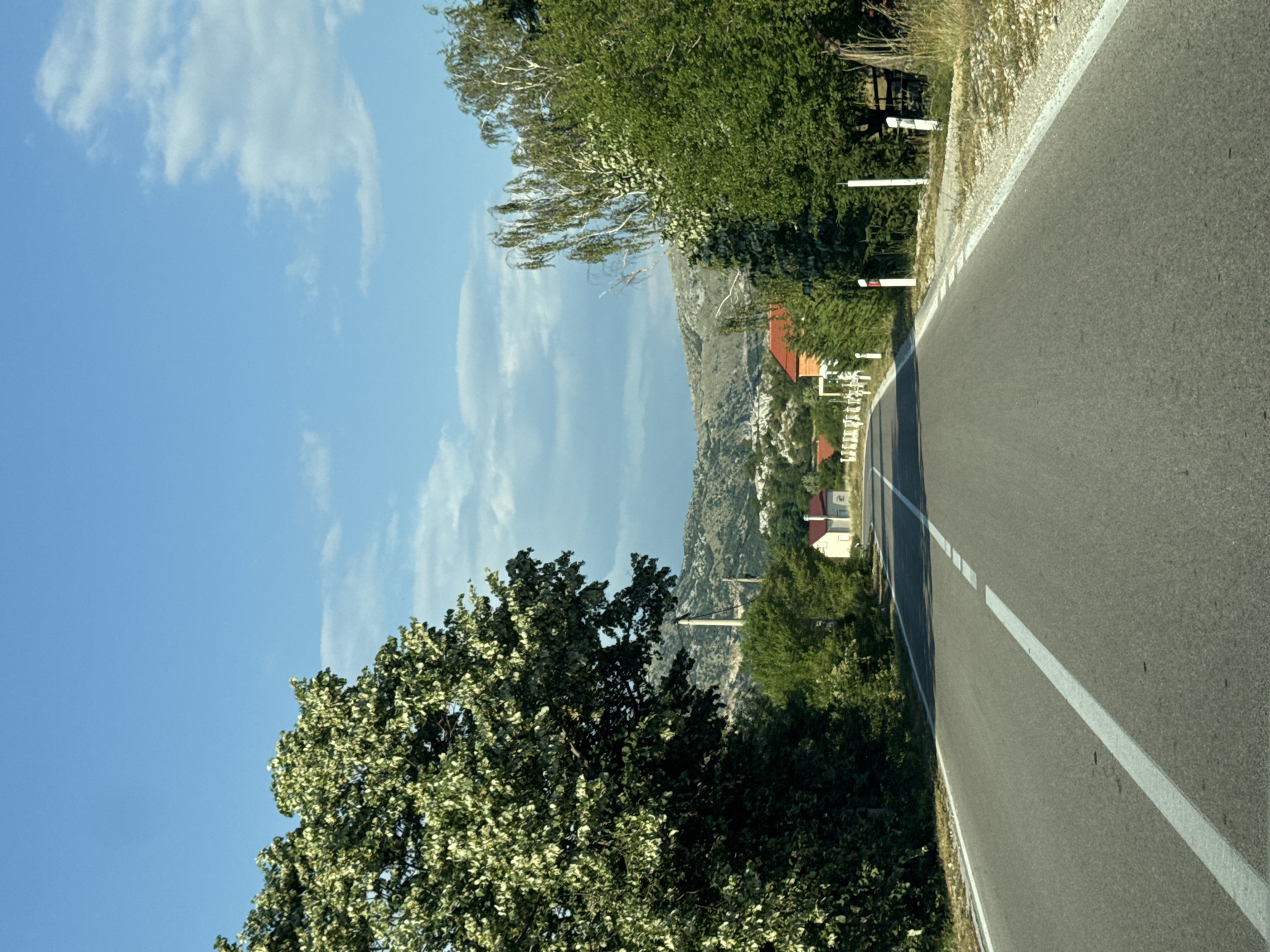 The image captures a straight, paved road with a white solid line on the left and a dashed white line on the right, indicating a rural setting. The road leads towards a gentle incline where several houses with red roofs are visible. On either side of the road, lush green trees line the landscape, with a large, leafy tree dominating the left foreground and a cluster of trees, including a birch, on the right. In the background, rolling hills under a bright blue sky with scattered clouds complete the scene. The presence of houses and a road suggests a populated area, likely a village or town. The overall impression is one of a peaceful, sunny day in a rural environment. This scene is likely located in or near the village of Kopito in Montenegro, given the characteristic Mediterranean vegetation and architectural style.
