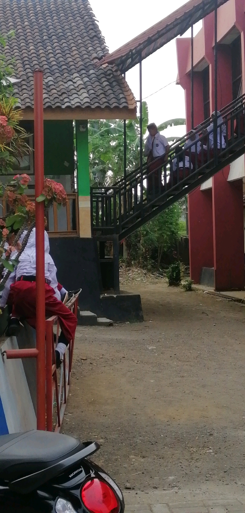 In the city of Ajibarang, Indonesia, a scene unfolds with children in school uniforms near a building. In the foreground, a black motorcycle with red taillights is partially visible, its seat bearing the "HONDA" logo. To the left, a red railing borders a pathway, with two children, a girl in a white hijab and a red skirt, and another child partially obscured, seated on it. Behind them, a cluster of flowering plants with pink blossoms adds a touch of color. The main structure is a multi-story building with a red exterior on the right, featuring an external staircase made of black metal. Several children, dressed in white shirts and red bottoms, are ascending the stairs. One child is at the top of the stairs, facing right, while another is descending. The environment appears to be an outdoor school setting, with a dirt and gravel ground surface and lush green foliage in the background. The sky is overcast, suggesting a possibly humid or rainy day.
