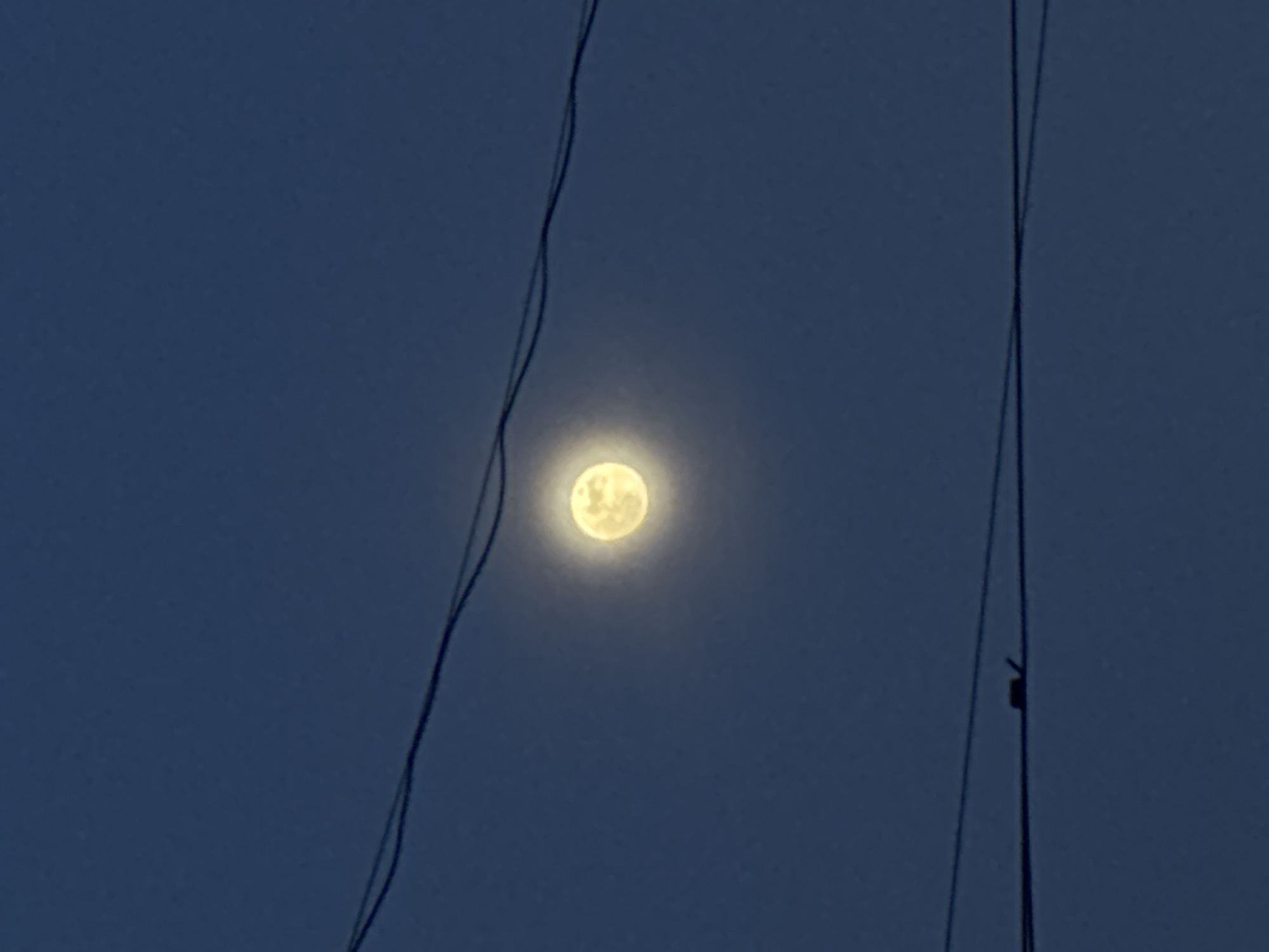 The image shows a full moon in a dark blue evening sky. Electrical wires are visible in the foreground, stretching across the frame. Based on the presence of electrical wires, it is possible the image was taken in an urban area. There is no confirmatory evidence this image was taken in the city of Perm, Russia. There are no people, visible subjects, actions, or interactions shown in the image.
