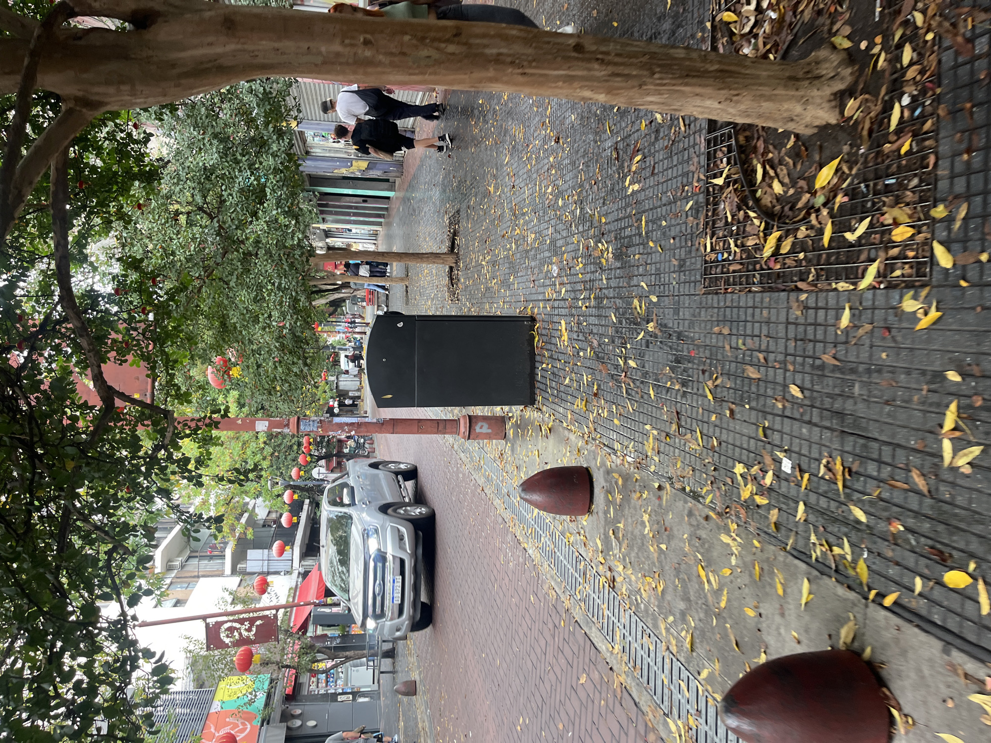 This image captures a vibrant daytime street scene in what appears to be a Chinatown district of Buenos Aires, Argentina. The street is lined with mature trees boasting green foliage, creating a partial canopy overhead. Many yellow and brown autumn leaves are scattered across the brick and paved sidewalks, indicating the fall season.
Several people are visible, including pedestrians walking along the sidewalk. Two individuals, one in a white shirt and dark overalls and another in a dark shirt and shorts, are seen walking away from the camera. A silver Ford Ranger pickup truck, bearing the Argentine license plate "AD 272 TT," is parked along the side of the street.
Red Chinese lanterns are prominently strung across the street between trees and utility poles, serving as a strong cultural indicator of the neighborhood. Other street furniture includes a black trash bin, a reddish-brown metal pole with a white "P" sign, and two dome-shaped reddish-brown bollards. Metal grates are visible around the base of trees and along the curb.
Buildings on both sides of the street feature commercial storefronts, some with awnings, and residential apartments above. Chinese characters are discernible on a red banner or sign on the left side of the street, further confirming the cultural setting. The lighting suggests a clear day, likely late morning or early afternoon.