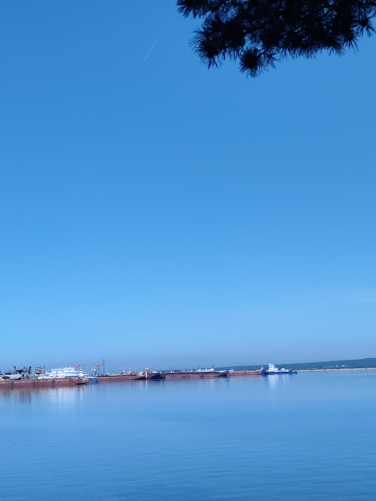The image shows a body of water, likely a river or a large lake, with a shoreline in the distance. Several ships, including barges and a tugboat, are docked or anchored near the shore. The sky is clear and blue. The location is an unspecified waterfront area in the city of Unknown, Unknown. A dark silhouette of pine tree foliage is visible in the upper right corner of the image.