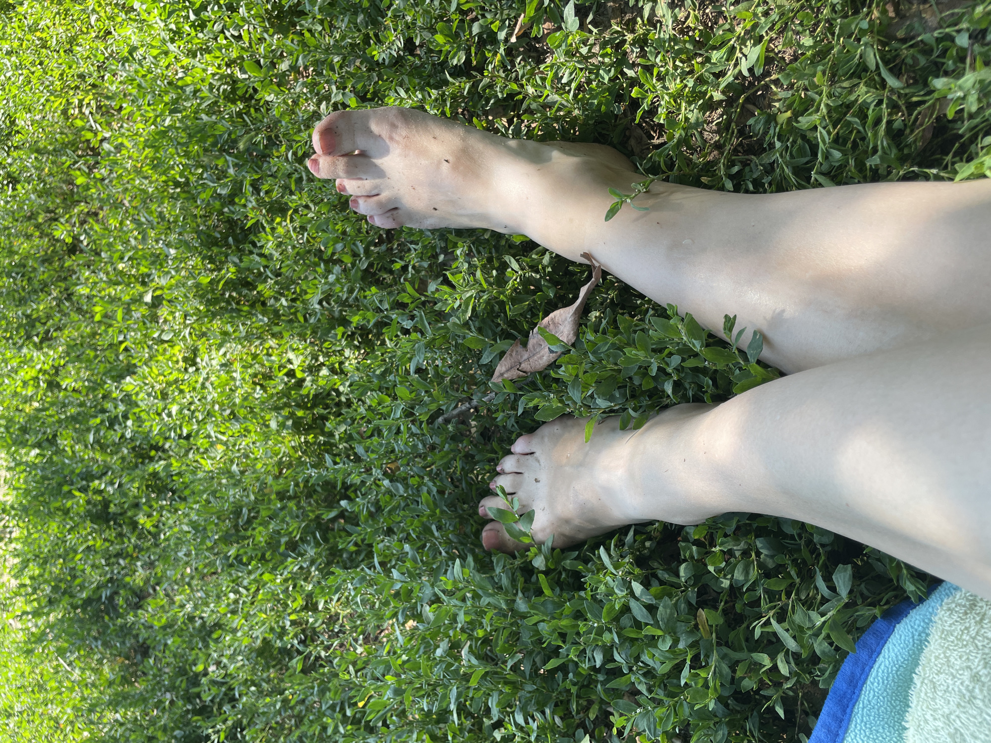 A pair of bare legs and feet are positioned in a field of green vegetation. The skin on the legs and feet appears pale with some slight discoloration. The feet are partially obscured by the surrounding plants. One foot displays a red nail polish on the toenails. The lighting suggests an outdoor environment, possibly a park or natural area, with sunlight filtering through. A portion of a striped towel, in shades of blue and light green, is visible in the lower left corner of the image. The presence of a dried leaf amongst the green foliage indicates an autumn or late summer setting. The image does not depict any elements that would allow for the specific identification of the location within Zarichne, Ukraine.