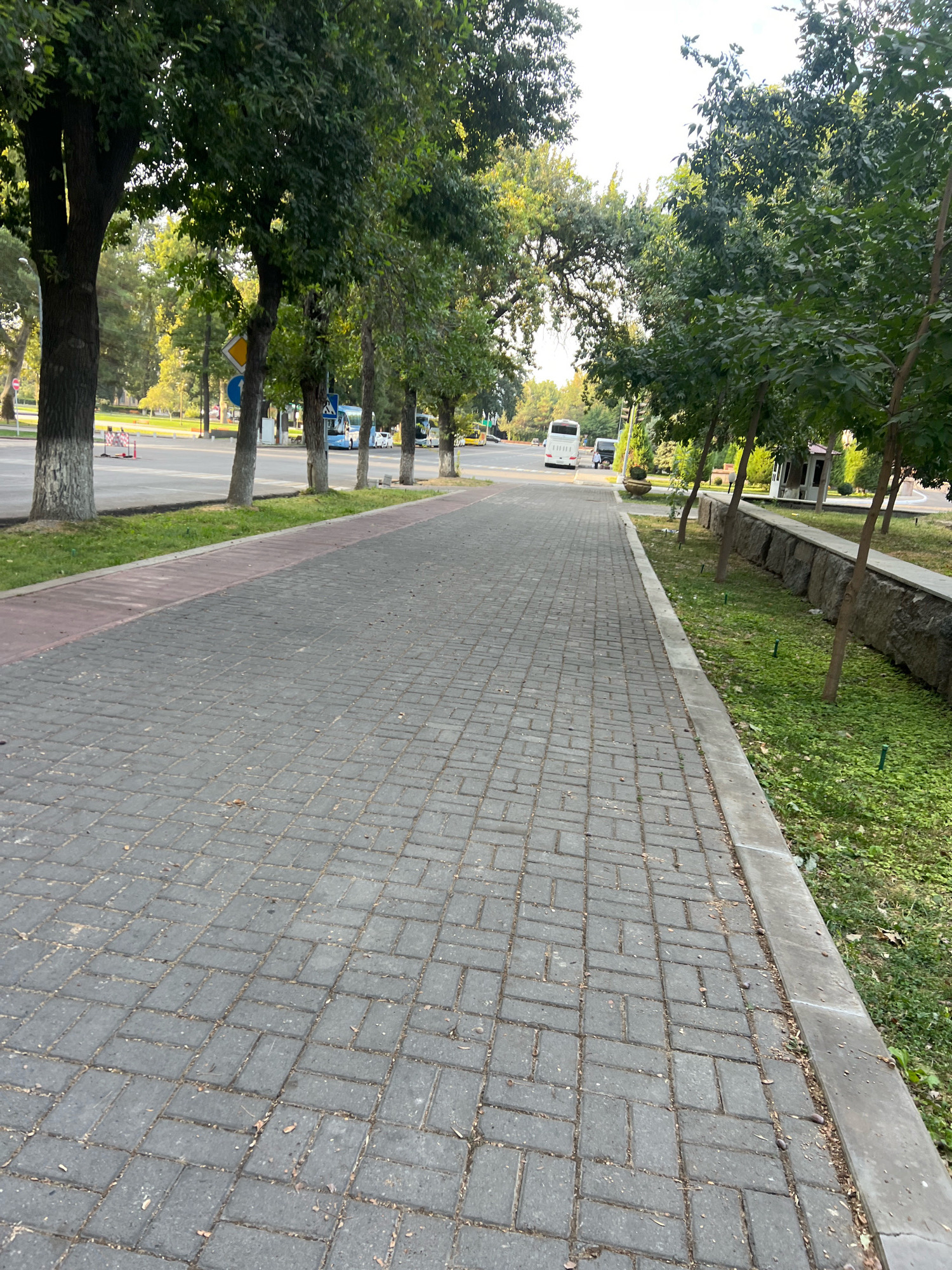 An eye-level, medium shot captures a paved walkway lined with trees in an urban setting. The walkway, made of grey interlocking rectangular pavers, occupies the majority of the foreground and extends into the distance. To the left of the walkway is a narrow strip of red-colored pavement, followed by a grassy area and a row of trees with dark bark, some with white paint at their base. Beyond the trees, a street is visible with traffic signs, buses, cars, and construction barriers. To the right of the walkway, there is a stone retaining wall with an overgrown grassy area and several young trees. The sky is visible above the trees, appearing bright and somewhat overcast. The scene appears to be a public space with pedestrian access and vehicular traffic nearby.