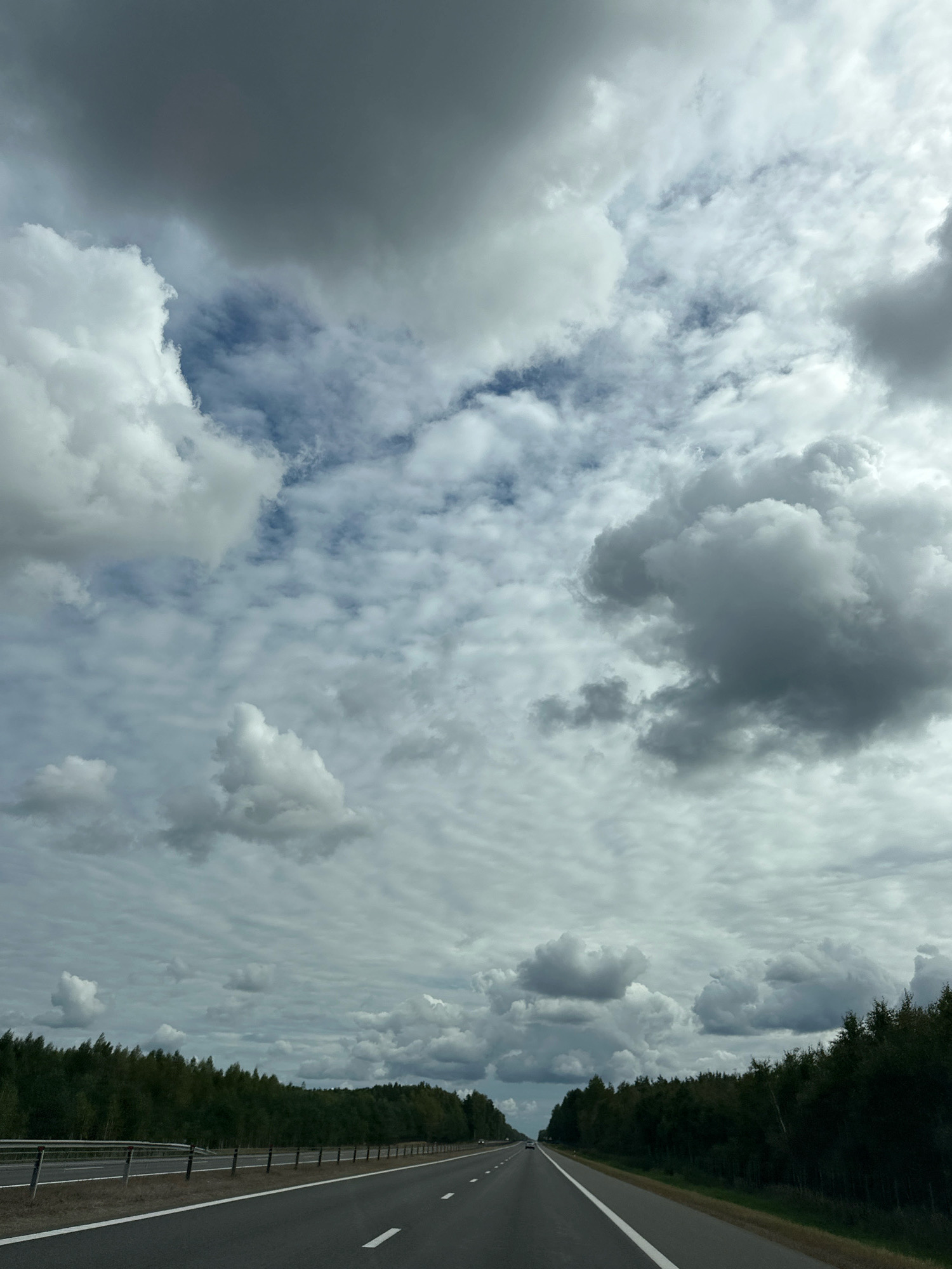 The image depicts a straight, paved road with white lane markings. The road is bordered by a metal guardrail on the left and a dense line of dark green trees on the right. The sky above is filled with a dramatic array of clouds, ranging from dark, heavy formations to lighter, wispy patterns. The overall lighting suggests an overcast day. This scene is located on the M1 highway, a major road in Belarus, near the administrative center of Лапіцкі сельскі Савет, which is a rural council in the Mahilyow Region of Belarus.