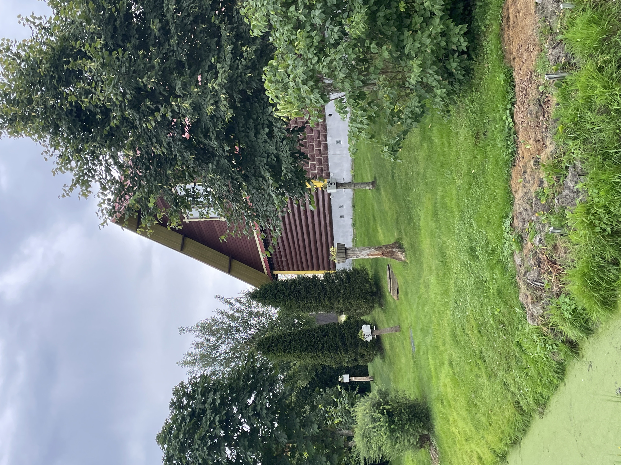 The image depicts a rustic wooden house situated in a lush, green landscape. The house has a dark brown, horizontal log exterior and a reddish-brown roof with yellow trim. A portion of a red brick wall is visible on the lower part of the house. In front of the house, the ground slopes gently upwards and is covered in vibrant green grass. Several trees of varying sizes and types are scattered around the property, including a large, leafy tree in the foreground to the right, and two tall, conical evergreen trees. There are also some smaller bushes and plants.
The scene is further enhanced by decorative elements such as wooden posts with planters on top, one of which contains a small, yellow decorative item. In the lower left corner of the image, a body of water with a greenish, alga-like surface is visible, with its edge bordered by dense green grass and some soil. The sky above is overcast with grey clouds, suggesting a potentially damp or cool day. The overall impression is of a peaceful, rural setting, likely a dacha or country house, within the area of Строймаш Снт, Russia. There are no people visible in the image.