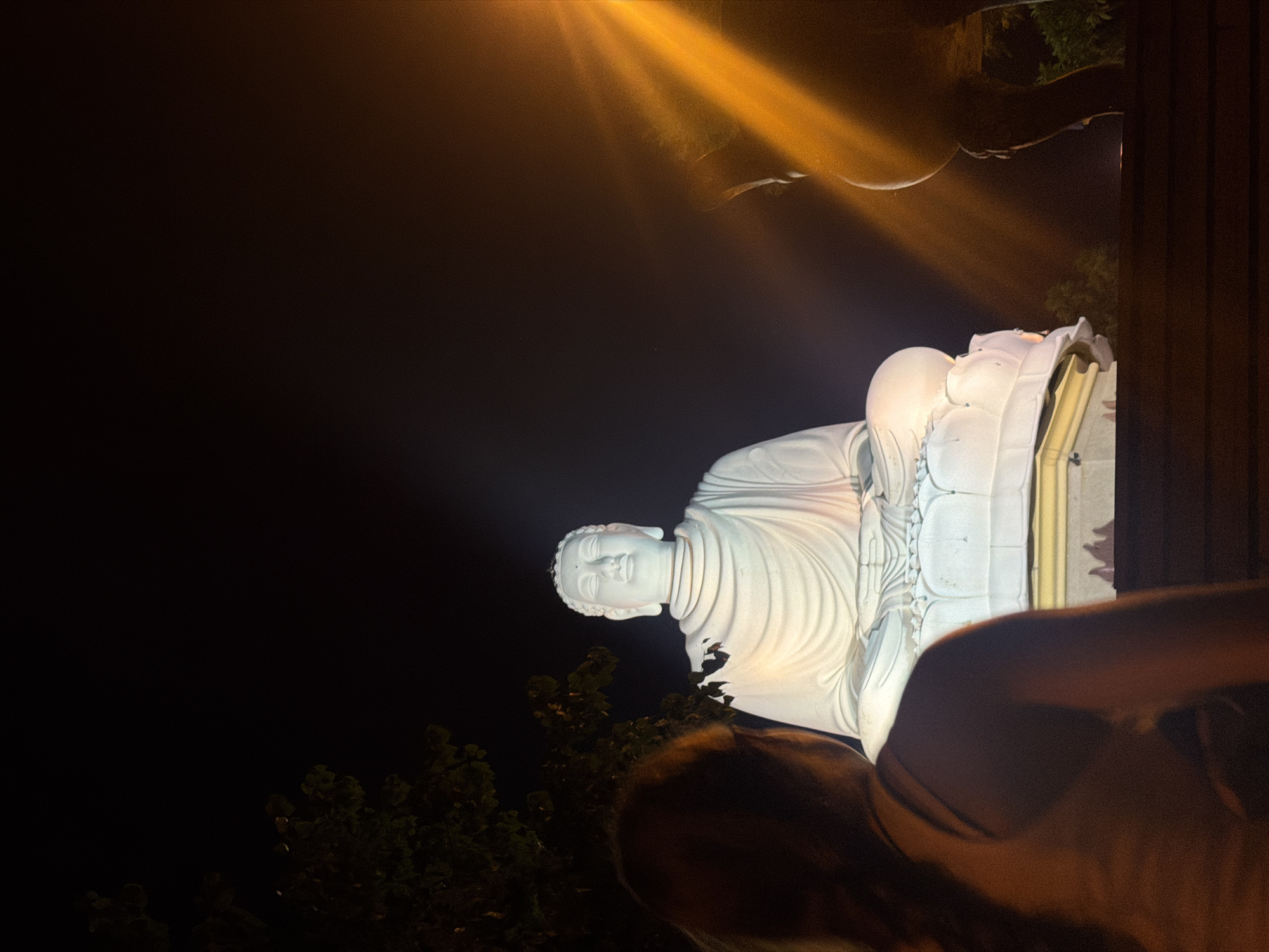 An individual is seen from behind, facing a large, white Buddha statue illuminated at night. The statue is seated in a meditative pose on a lotus pedestal. To the right of the Buddha, a bright orange light beam cuts across the frame. The background is dark, with the silhouette of trees visible on the left. The scene appears to be outdoors, possibly at a temple or religious site in Nha Trang, Vietnam.