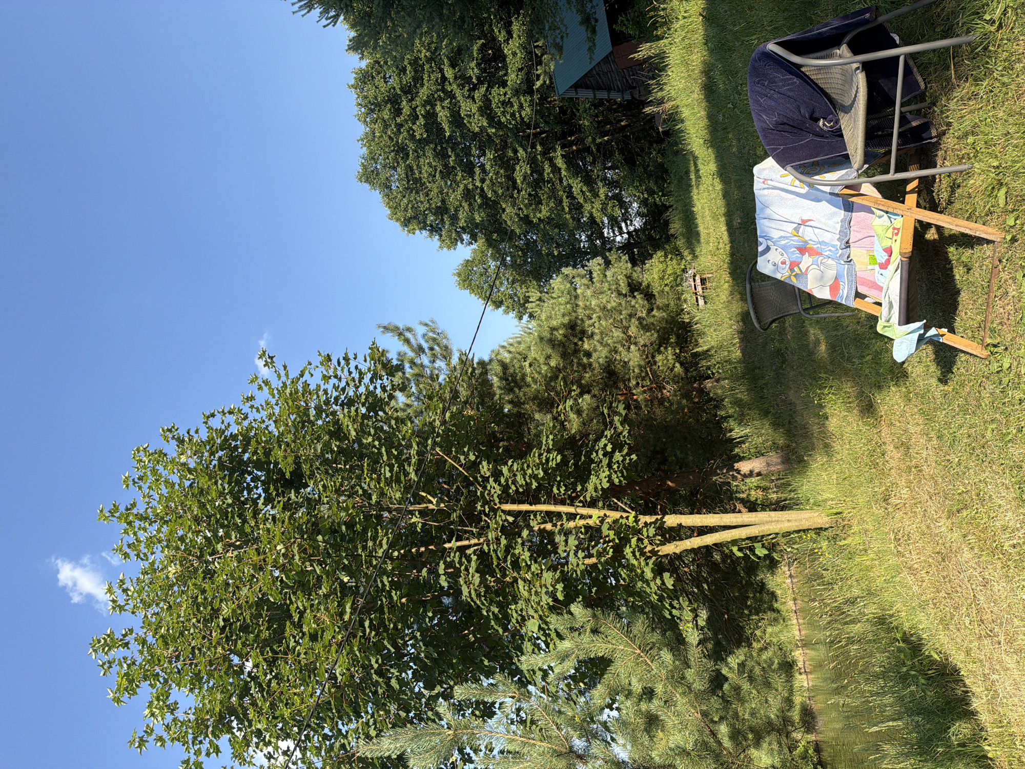 The image depicts a serene outdoor scene with a focus on nature and relaxation. The foreground features two chairs on a grassy area. One is a wooden deck chair draped with a colorful towel depicting cartoon characters, and another towel is draped over a metal-framed chair to its right. Behind the chairs, a calm body of water, possibly a lake or pond, is visible, bordered by tall grass and reeds.
The background is dominated by lush greenery. A prominent tree with dense foliage stands to the left, casting a shadow. To the right of this tree, more mature trees, including pine trees and deciduous trees, form a dense forest. In the far right background, a rustic wooden building with a green roof can be seen, suggesting a rural or recreational setting. The sky is a clear, bright blue with a single, small white cloud.
The image appears to be taken during daylight hours, with the sun illuminating the scene and creating dappled shadows. The overall atmosphere is peaceful and idyllic, evoking a sense of summer leisure and natural beauty. Given the context provided, this scene is situated in the city of Kamianka-Buzka, Ukraine.