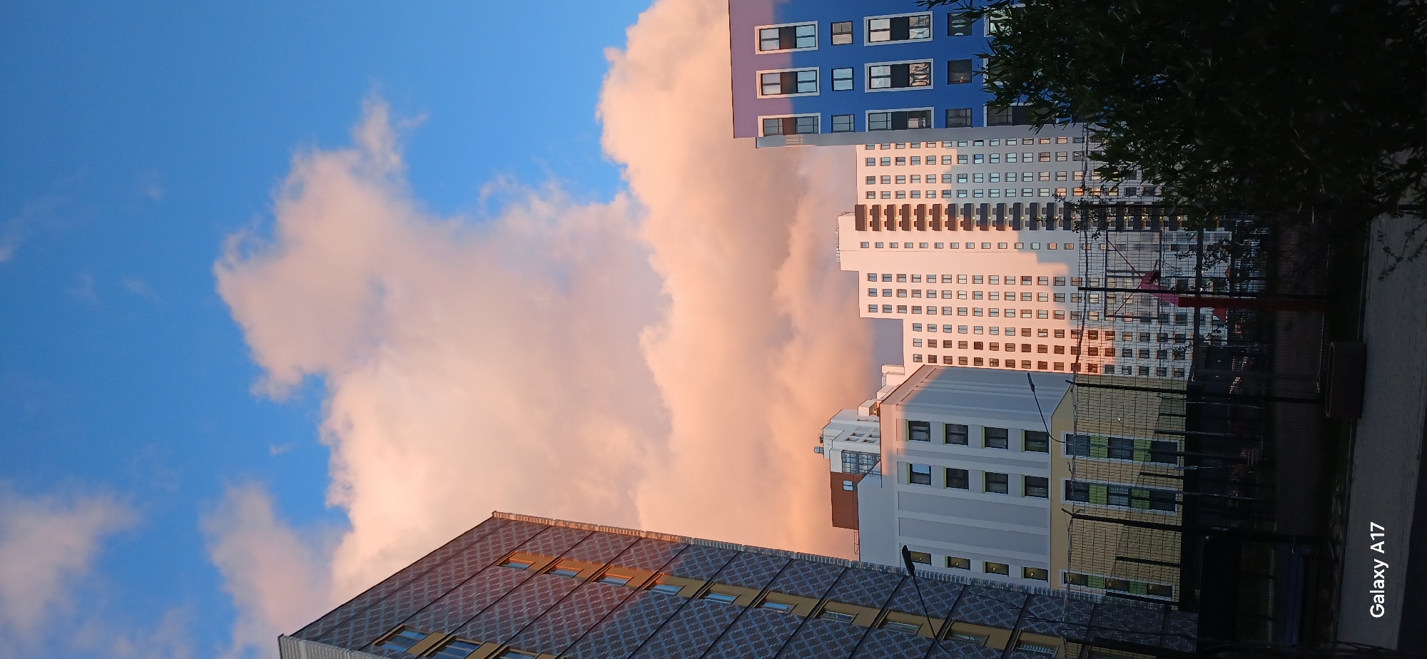 The image shows a view of Yekaterinburg, Russia. The shot appears to be taken from a ground-level perspective, looking upward at several buildings. The buildings vary in height and architectural style, with some having a checkered facade and others a more uniform appearance with rows of windows. Some are painted blue and white.
The sky is partly cloudy, with pinkish-orange clouds. A dark green tree is visible on the right side of the frame, partially obscuring some of the buildings. A chain-link fence is also in view in the middle. The picture has been taken on a phone, as a "Galaxy A17" watermark is present in the bottom right corner. The scene is brightly lit, suggesting it is daytime, likely sunrise or sunset.