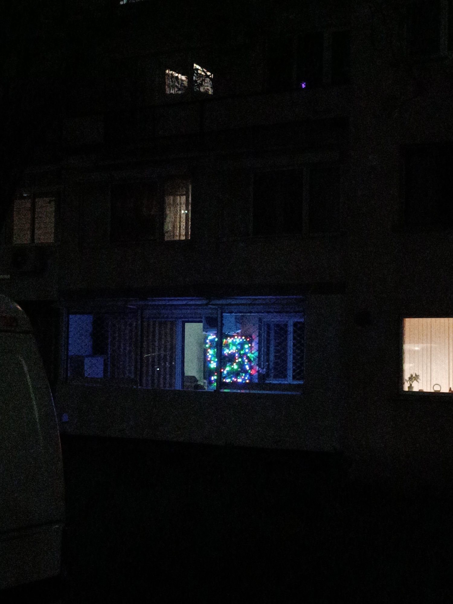 The image shows a three-story building in Pleven, Bulgaria, during nighttime. There are several illuminated windows, suggesting occupants are present. One of the windows on the ground floor features a decorated Christmas tree, lit with colorful lights. Another window on the ground floor has a warm light source with the silhouette of a plant visible on the windowsill. A vehicle, partially visible on the left side of the frame, obscures the view of the building's facade. The overall scene indicates a residential setting during the holiday season in Pleven.