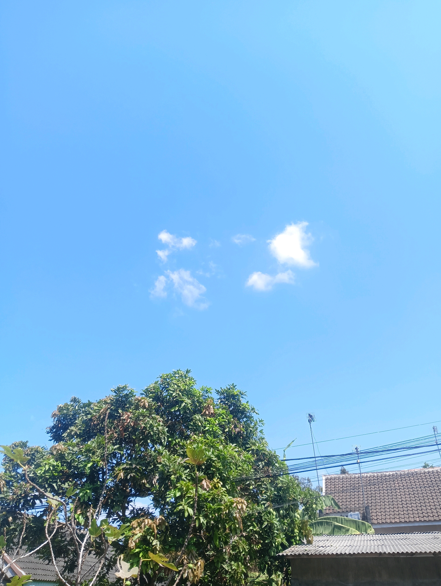 The image depicts a clear blue sky with a few wispy white clouds. In the foreground, the top of a lush green tree with some brown leaves is visible. To the right, parts of a tiled roof and corrugated roof are seen, along with electrical wires. The scene appears to be an outdoor view from a residential area in Kromengan, Indonesia.