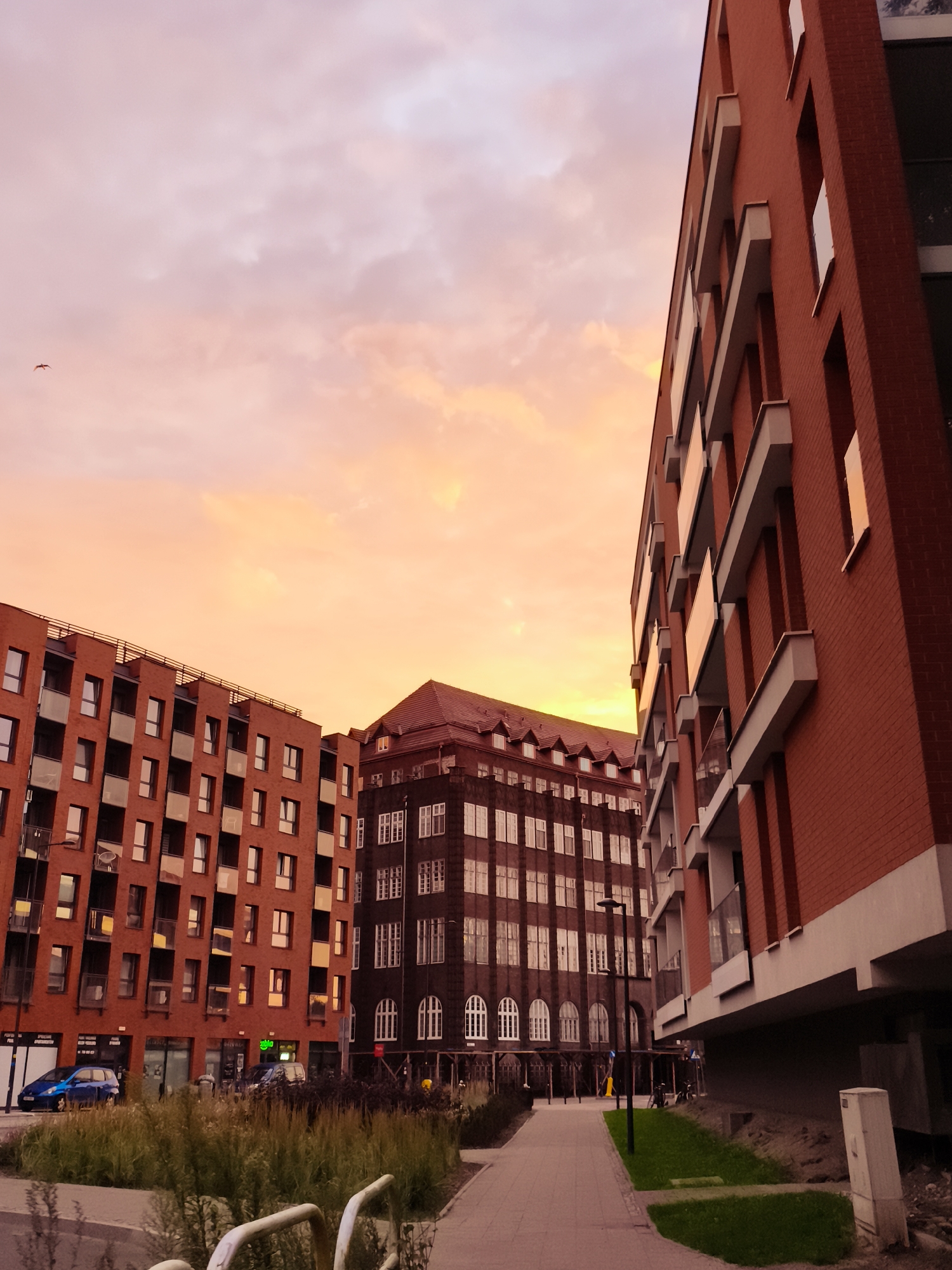 The image depicts a street scene in Gdańsk, Poland, at dusk. The sky is filled with vibrant hues of orange and pink from the setting sun, casting a warm glow over the buildings. In the foreground, a modern red brick apartment building with balconies and large windows dominates the right side of the frame. To the left, two older buildings are visible. The one in the middle is dark-colored with many windows, and the one behind it is also dark with a distinctive red, gabled roof. The street in front of the buildings is paved with light-colored stones, and there are patches of green grass and overgrown vegetation along the sidewalk. Two cars are parked on the street, a blue one on the left and a darker one further back. A streetlamp stands in front of the dark building. The overall impression is of an urban environment transitioning from day to night.