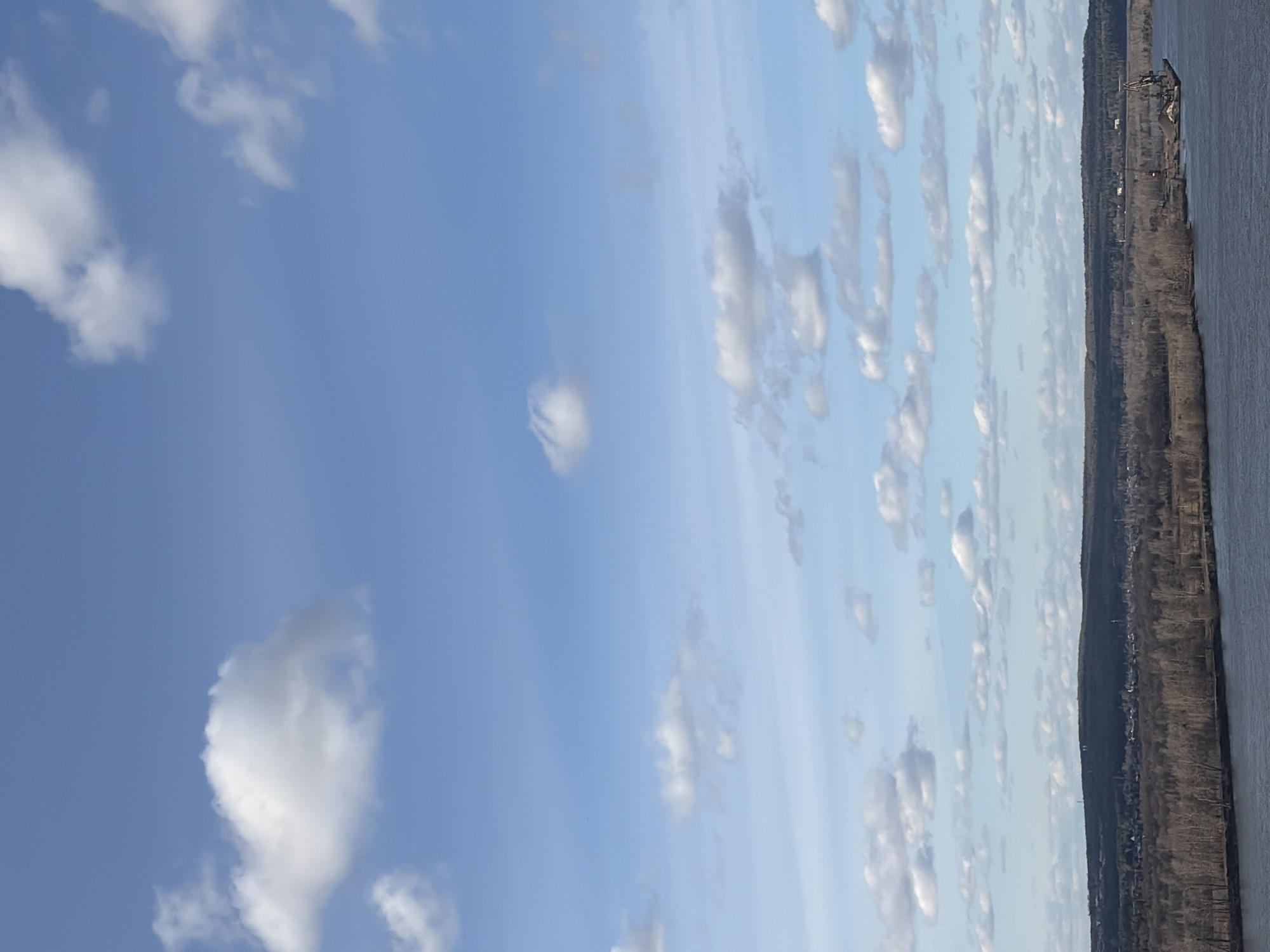 The image shows a landscape consisting of a body of water, a tree-covered shoreline, and a sky filled with clouds. The sky is primarily blue, with cumulus clouds dispersed throughout. The shoreline is densely populated with trees and appears to have some man-made structures, likely buildings or industrial installations. The body of water reflects the sky, suggesting it's calm. Based on the landscape and the information given, the location is Chaykovsky, Russia. The specific action is observing the landscape, and interactions are between the elements of nature. The environment is a mix of natural and possibly urbanized features along a river or lake.
