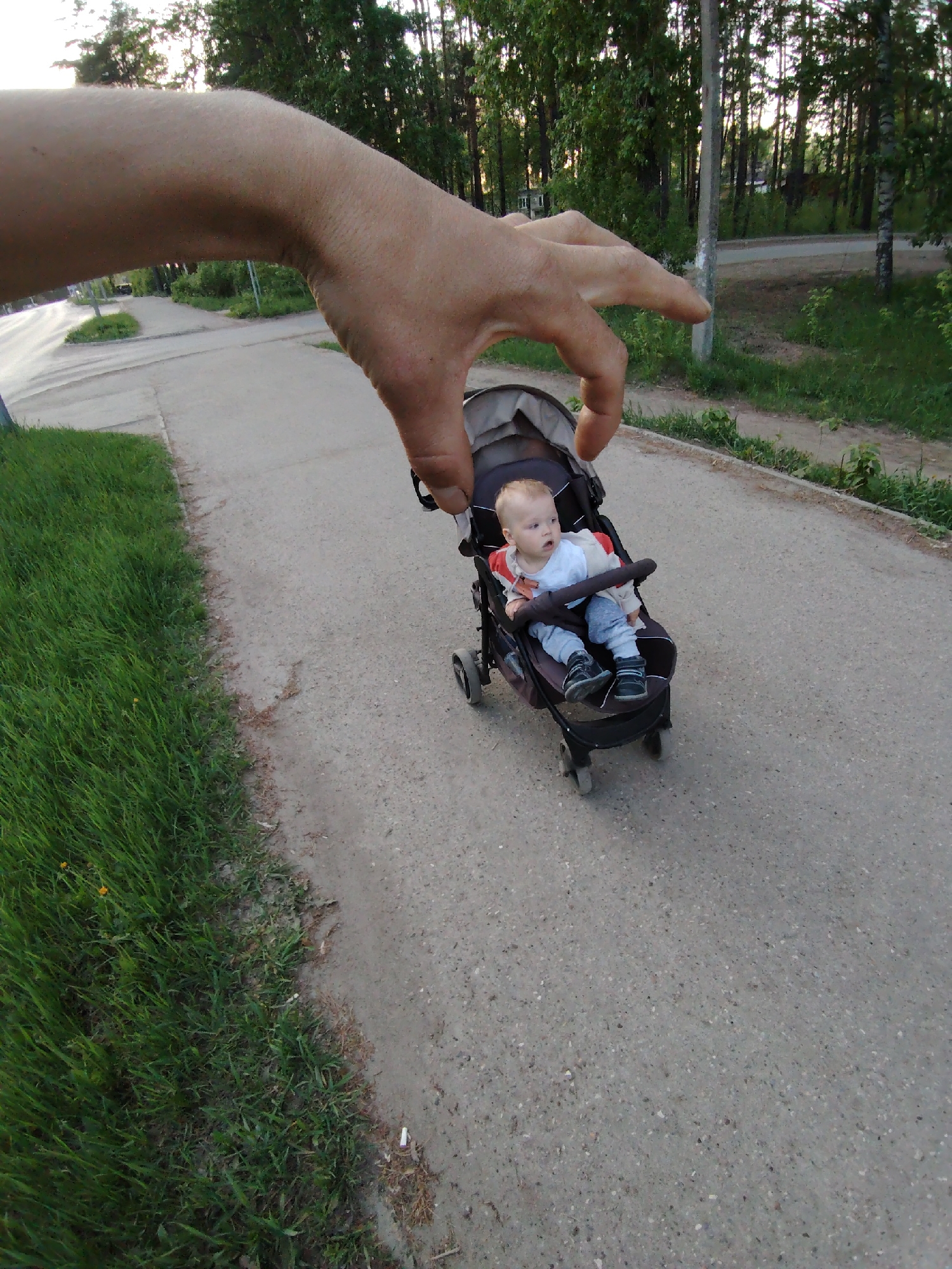 The photograph appears to depict a large hand reaching for a baby in a stroller on a paved path. The stroller is dark colored and contains a light-skinned baby. To the left of the path is a grassy area. In the background are trees and a road. The photo was taken outside, with what appears to be daylight conditions. The location is Chaikovsky, Russia.