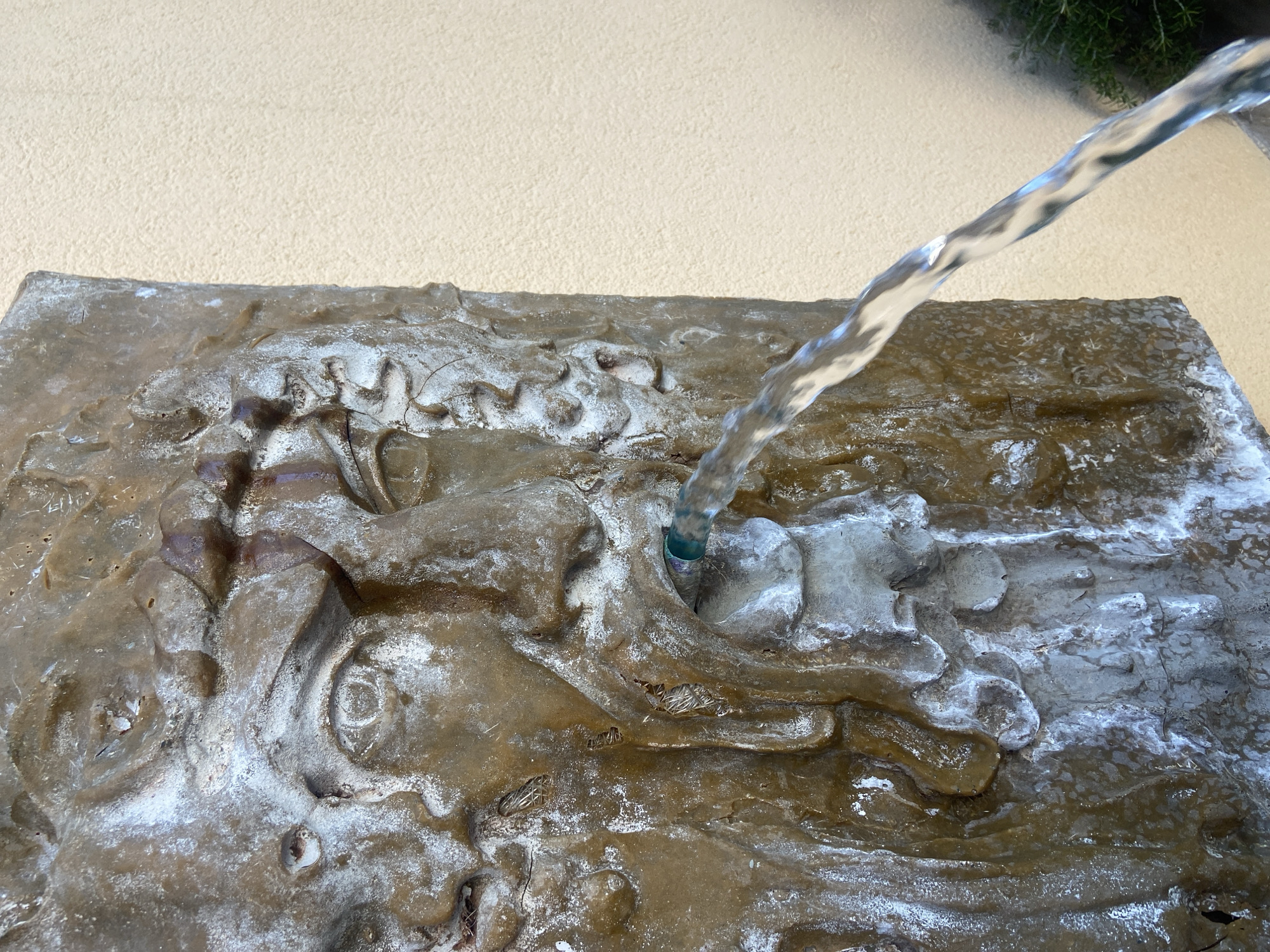 A close-up captures water pouring from a pipe onto a carved stone surface, likely part of a fountain. The stone is brown with white deposits, and the carving features relief elements. The water stream is clear, and the pipe appears to be bluish-green. The background includes a cream-colored wall and some green foliage, possibly a shrub or bush. The location is Tivat, Montenegro. The image focuses on the water source and its interaction with the stone carving.