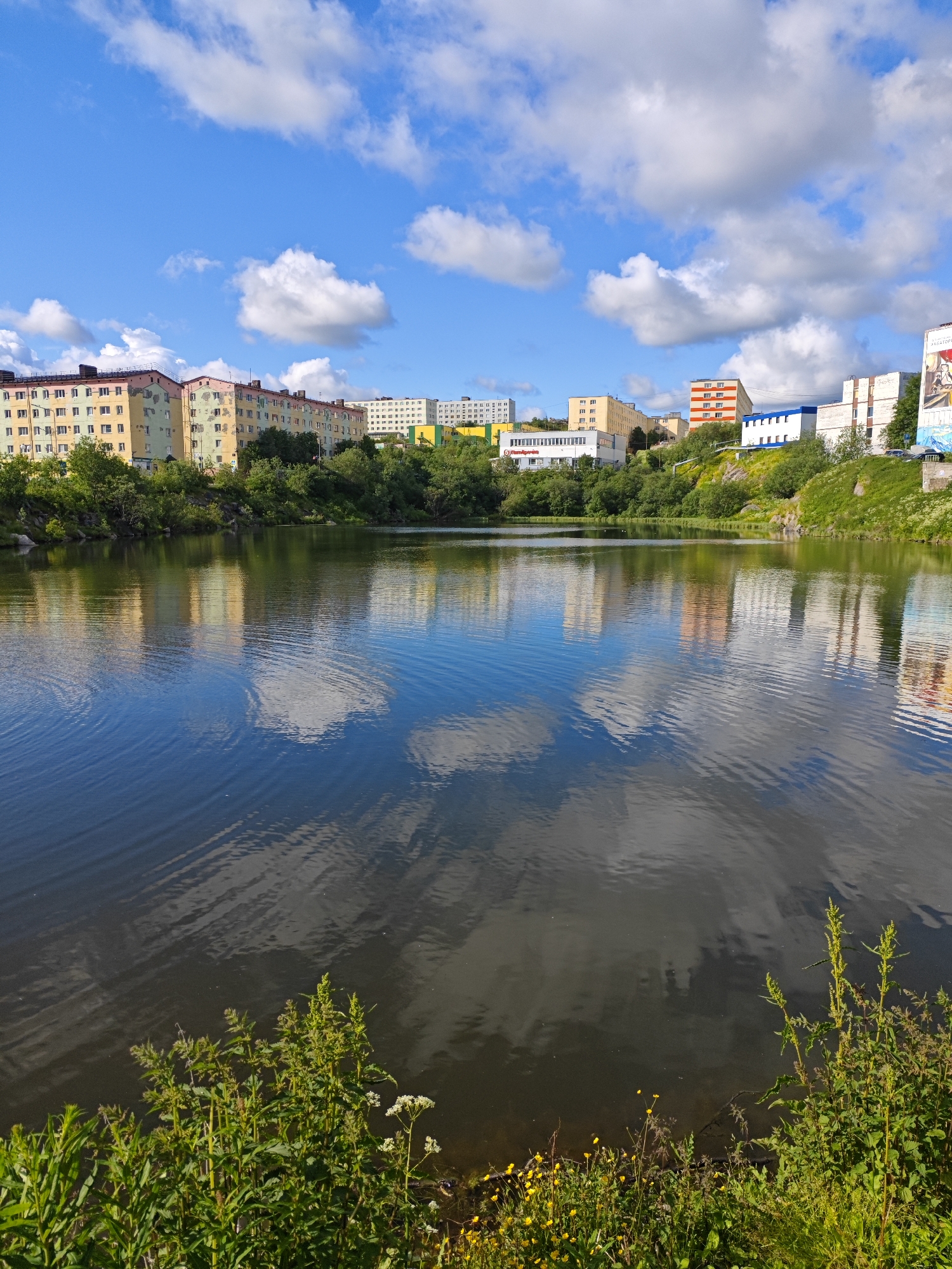 The image depicts a panoramic view of a lake in the city of Polyarny, Russia, on a clear, sunny day. The lake occupies the foreground and midground, with its dark blue water reflecting the sky and the buildings on the shore. The water is slightly rippled, creating a wavy pattern. Along the edges of the lake, lush green vegetation, including tall grasses and small yellow flowers, grows.
In the background, a line of multi-story apartment buildings stretches across the horizon. These buildings are painted in various pastel colors, including yellow, green, pink, and white, and are typical of Soviet-era architecture. Some of the buildings have balconies and numerous windows. Behind the apartment buildings, more greenery and trees are visible, indicating a hilly or sloped terrain. The sky above is a vibrant blue, dotted with fluffy white clouds that cast subtle reflections on the water. The overall scene conveys a sense of a peaceful, residential area nestled beside a natural body of water.