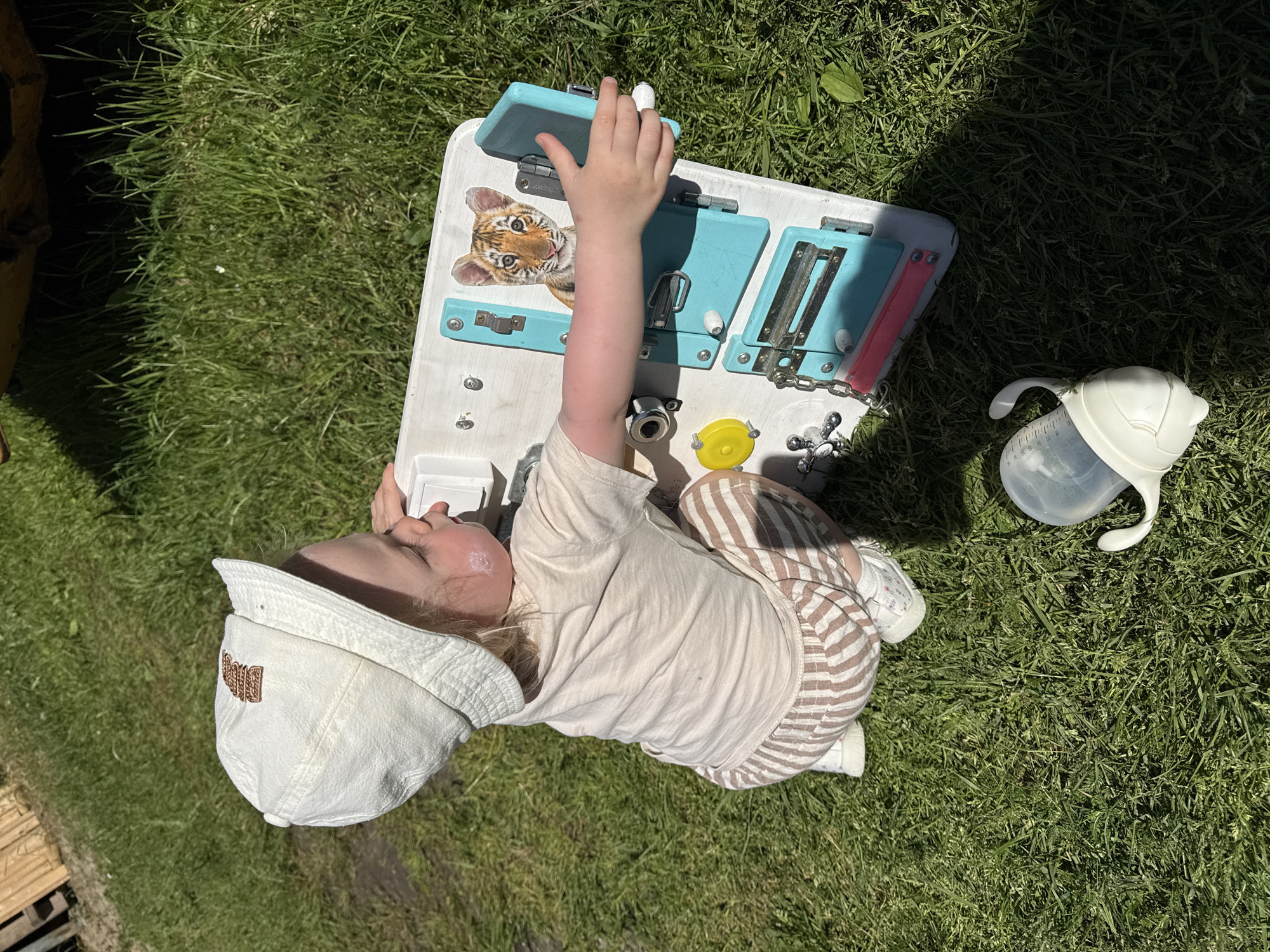 A young child is positioned outdoors in Levino, Russia, observed crouching on green grass. The child wears a white bucket hat with a brown embroidered emblem, a light beige t-shirt, and light brown and white striped shorts or bloomers. White shoes with a subtle floral pattern are visible on their feet. The child's right cheek exhibits a light white smudge.
The child is actively interacting with a white wooden busy board resting on the grass. Their right hand is extended towards a light blue panel with a metal latch on the upper right side of the board. The busy board is equipped with multiple tactile and interactive components, including various metal latches, bolts, hinges, a yellow circular knob, a small silver faucet-like handle, and a pink sliding mechanism. A sticker of a tiger cub's face is affixed to the upper central portion of the board.
A white and translucent baby bottle or sippy cup, featuring measurement markings and handles, lies on the grass in the foreground, slightly to the right of the busy board. The scene is brightly lit by sunlight, casting prominent shadows from the child and the busy board onto the grass. In the upper left background, part of a wooden structure is visible, and a dark, indistinct object is present in the upper middle background.