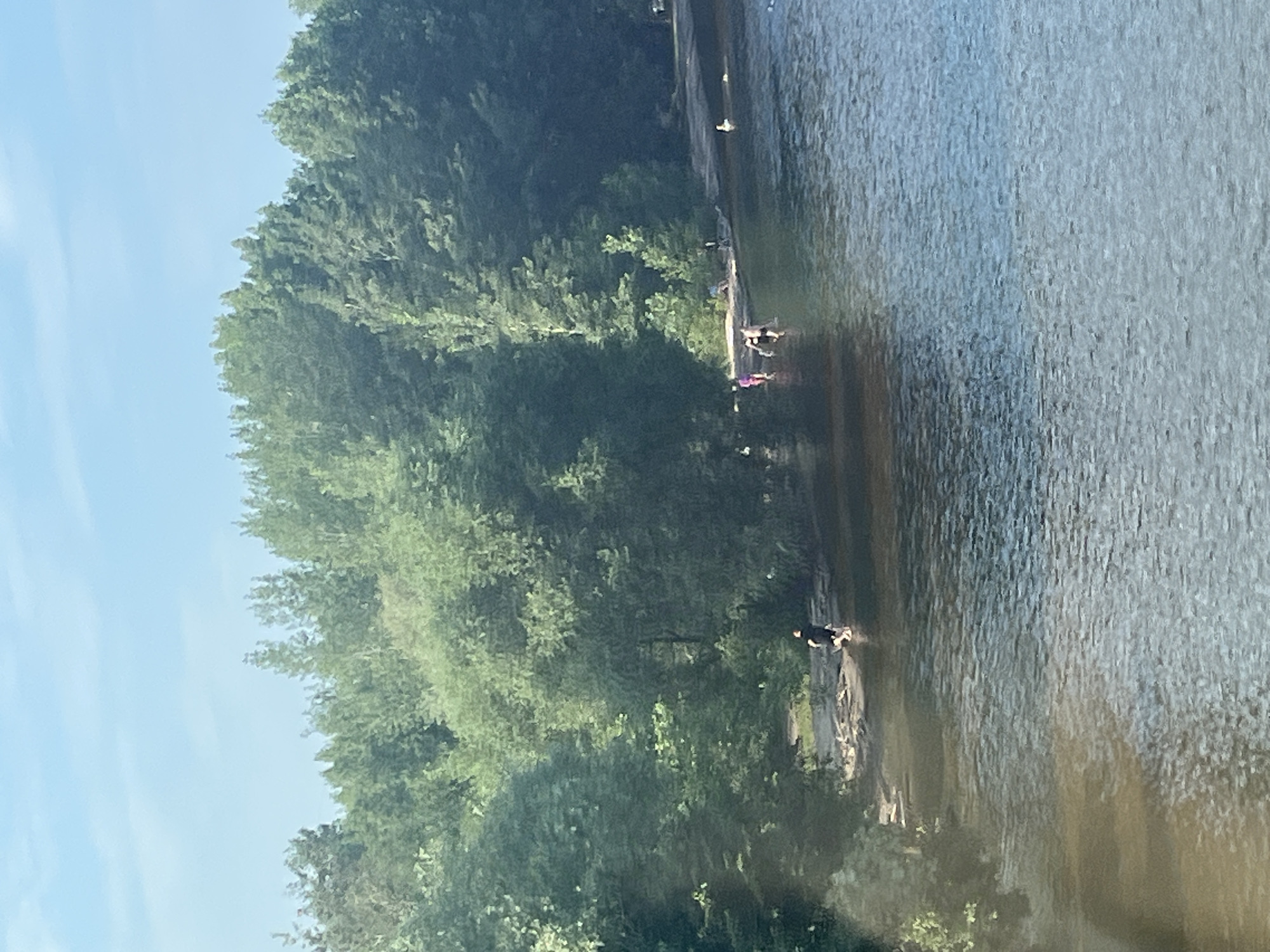 The image depicts a wide, calm river with a wooded shoreline. In the foreground, the river water is a muted brown and blue, reflecting the sky and trees. Several individuals are visible in and around the water. On the left bank, a person wearing dark clothing stands in shallow water near a sandy embankment. Further to the right, a group of at least three people, one in a purple swimsuit and others in darker attire, are wading or swimming in the river. In the distance, more people can be seen scattered along the shoreline and in the water. The background is dominated by a dense forest of green deciduous trees, with a clear blue sky above. The scene appears to be a recreational area during daytime. The location is identified as Noviy, Russia.