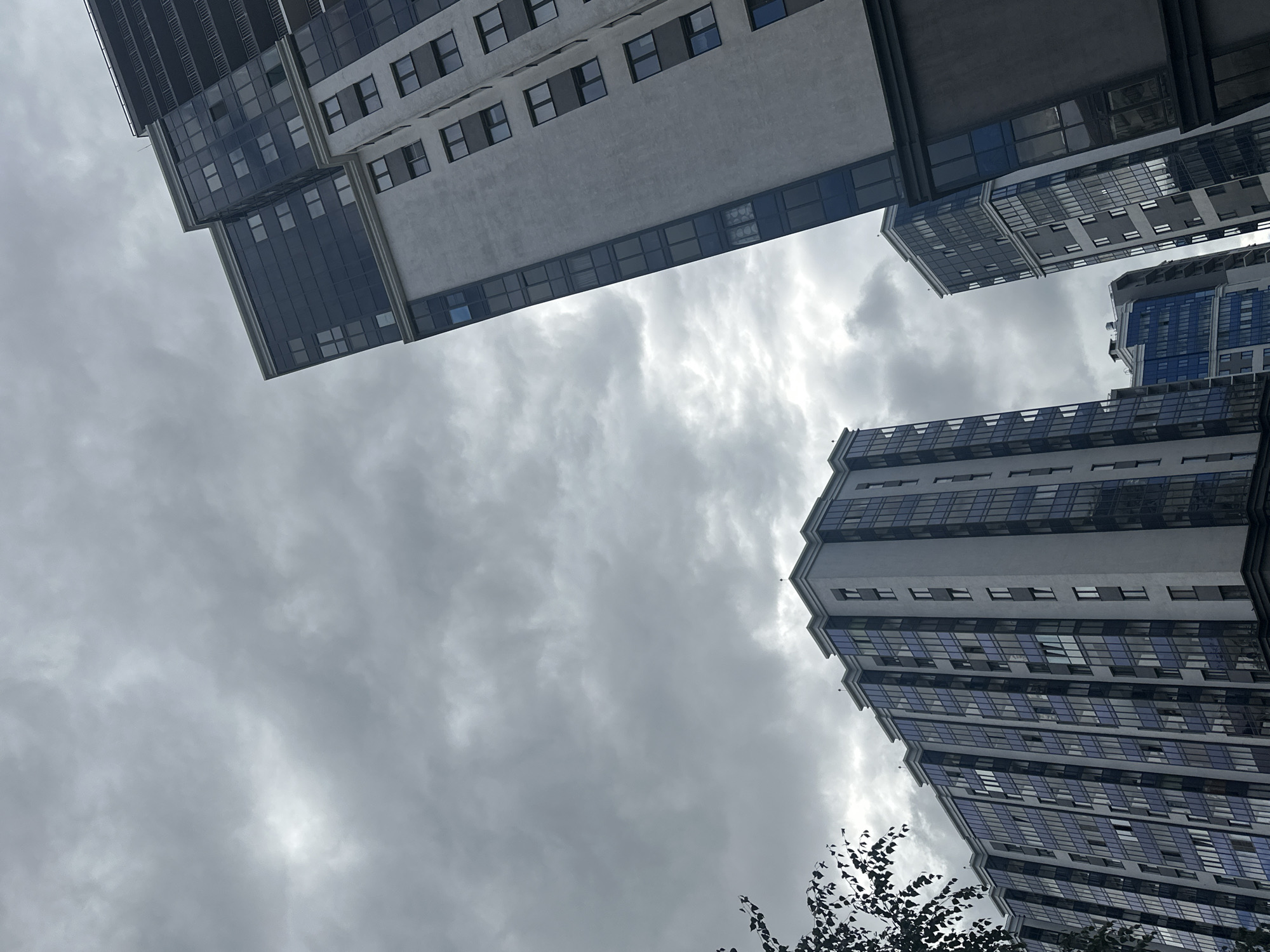 The image shows a view looking up at several modern apartment buildings in the city of Murino, Russia. The sky is heavily overcast with gray clouds. The buildings are tall and feature a combination of white and dark gray facades, with large windows, some of which appear to be tinted blue. The architecture is angular and contemporary. In the foreground, to the left, a portion of a tree with dark leaves is visible, obscuring the view of one of the buildings. The perspective suggests the photo was taken from ground level or a low vantage point, emphasizing the height of the structures against the dramatic sky.