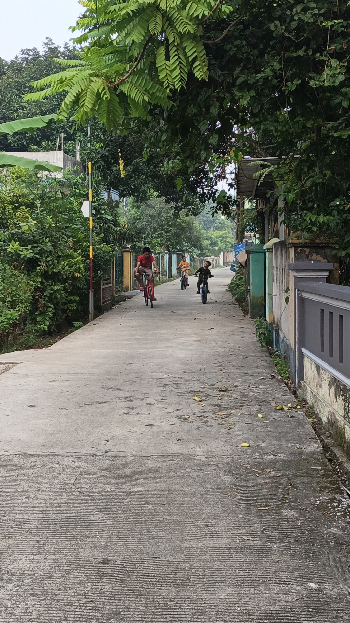In a residential street in Tigaraksa, Indonesia, three young boys are riding bicycles. The street is paved with concrete and lined with houses and lush greenery. The boy in the foreground wears a red shirt and rides a red bicycle. Behind him, another boy in a yellow shirt rides a bicycle, followed by a third boy in a dark shirt on a black bicycle. The scene is bathed in natural light, suggesting daytime. Fallen leaves are scattered on the street.