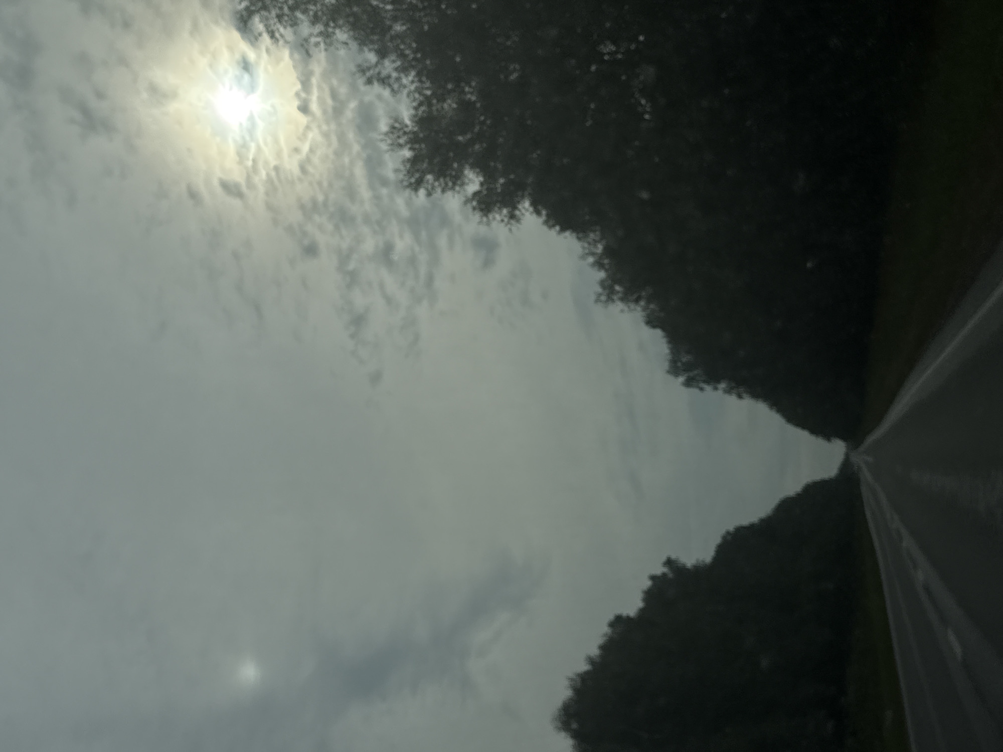 The image shows a road cutting through a dense forest with a cloudy sky overhead. The sun is visible through a break in the clouds, creating a hazy, diffused light. The road appears to be wet, suggesting recent rain. The trees on either side of the road are dark silhouettes against the lighter sky. There are no people or vehicles visible in the image. The scene is likely located on a rural road outside of the city of Lucheg, Russia, given the prevalence of forests and the absence of urban infrastructure.