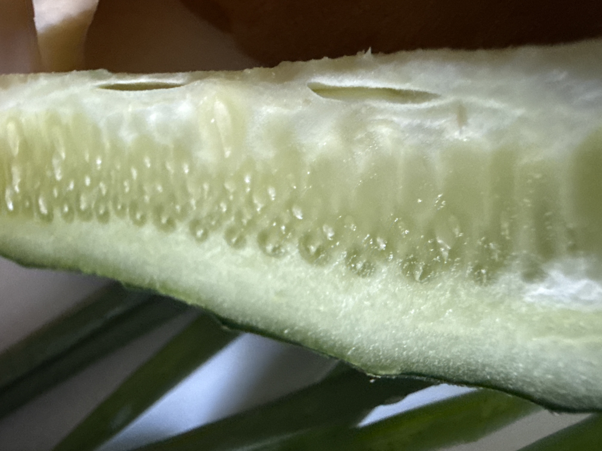 The image is a close-up, macro shot of the interior of a halved cucumber. The cucumber flesh is pale green and has a textured, bumpy surface with visible seeds. There are some slight imperfections and a small slit in the flesh on the right side. In the background, out of focus, are dark green, elongated shapes that appear to be leaves or stems of a plant. The overall lighting is soft, highlighting the moisture and texture of the cucumber. The scene is not located in Okhtyrka, Ukraine, or any identifiable urban environment. It is a close-up of a food item.