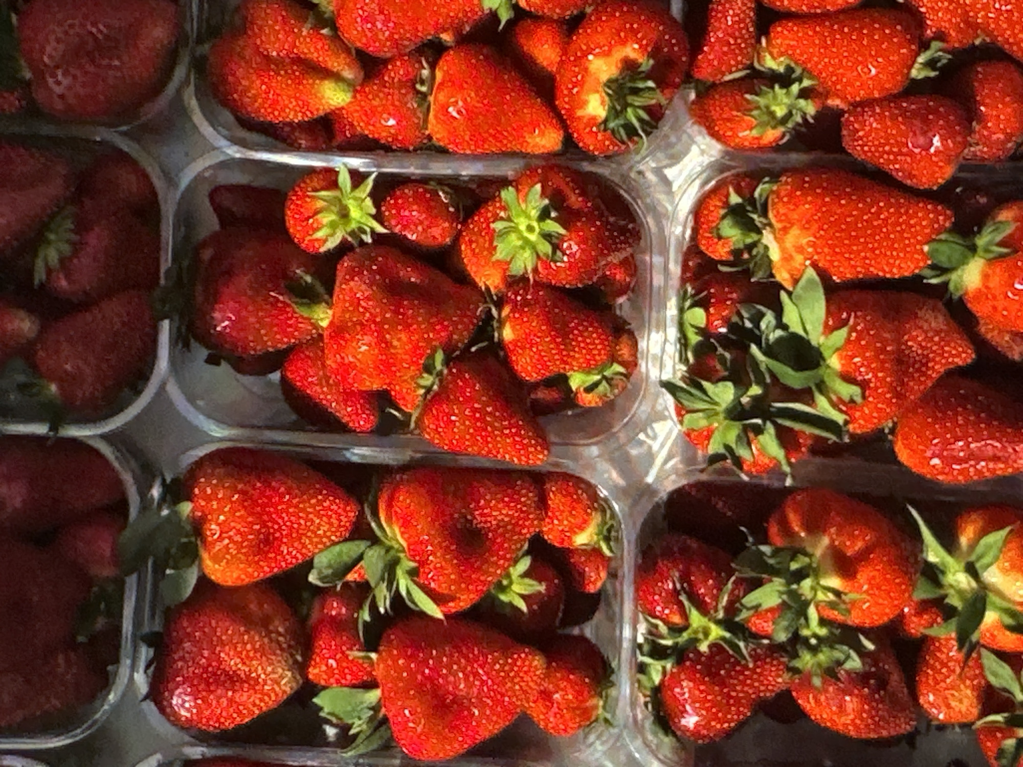 The image shows multiple clear plastic containers filled with fresh strawberries. The strawberries are a vibrant red color, and many have green stems and leaves attached. The containers are arranged close together, indicating they are likely for sale or storage. There is no indication that the location is in Yerevan, Armenia. There are no people in the scene.