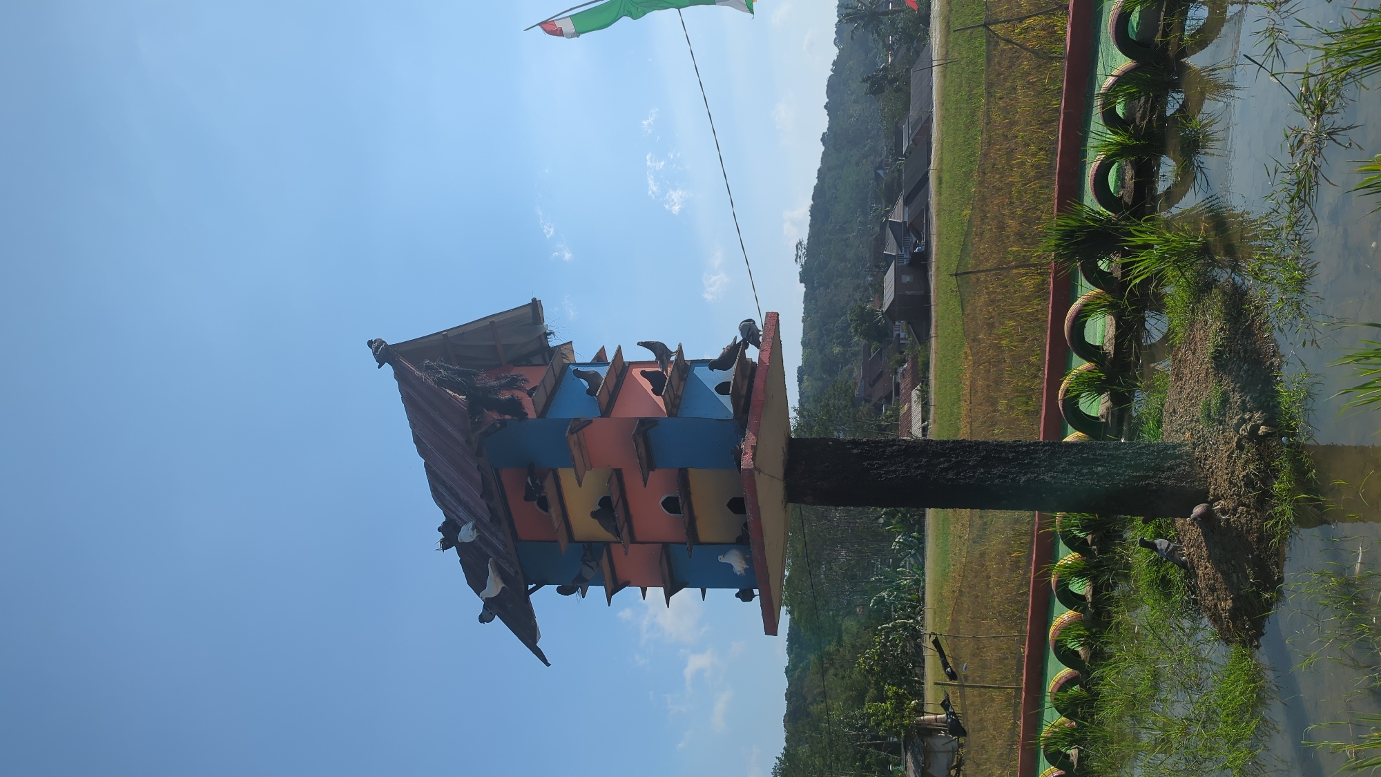 This is a low-angle, outdoor, full shot of a colorful, multi-tiered pigeon house situated in a rural or suburban area, possibly on the outskirts of Semarang, Indonesia, given the context of the surrounding landscape which features rice paddies, low-lying buildings, and lush green hills in the background. The pigeon house, which is the primary subject, is constructed from wood and painted in vibrant colors: red, orange, yellow, and blue. It is mounted on a dark, textured post and features numerous individual nesting boxes. Several pigeons are perched on and around the pigeon house, with some on the roof, some on ledges, and some in the open nesting boxes. In the foreground, there is a body of water with aquatic plants and two pigeons standing on a patch of earth near the base of the post. Along the edge of the water, there is a decorative border made from recycled tires painted in green and red. A string with a flag, partially visible on the right side of the frame, suggests a festive or community gathering setting. The sky above is clear and blue, indicating a sunny day.