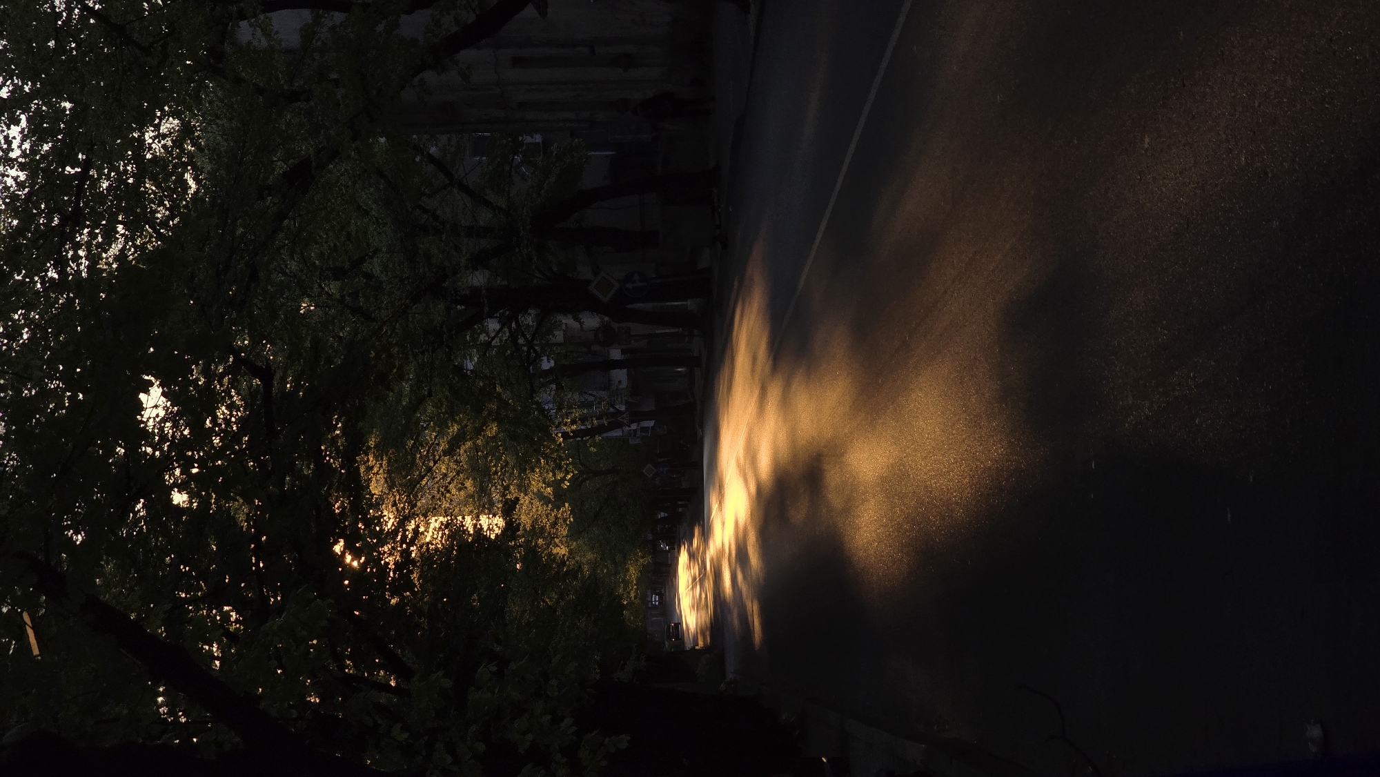 The image depicts a street scene in Stara Zagora, Bulgaria at dusk or night. The street, seen from an elevated perspective, appears wet. A line of trees borders the left side of the road with their branches partially obscuring the view of the buildings behind them. Light from an unseen source illuminates the road surface and the trees' foliage, casting distinct shadows. No people are visible. Road signs can be seen among the tree branches. The overall lighting suggests either sunset or artificial lighting at night.