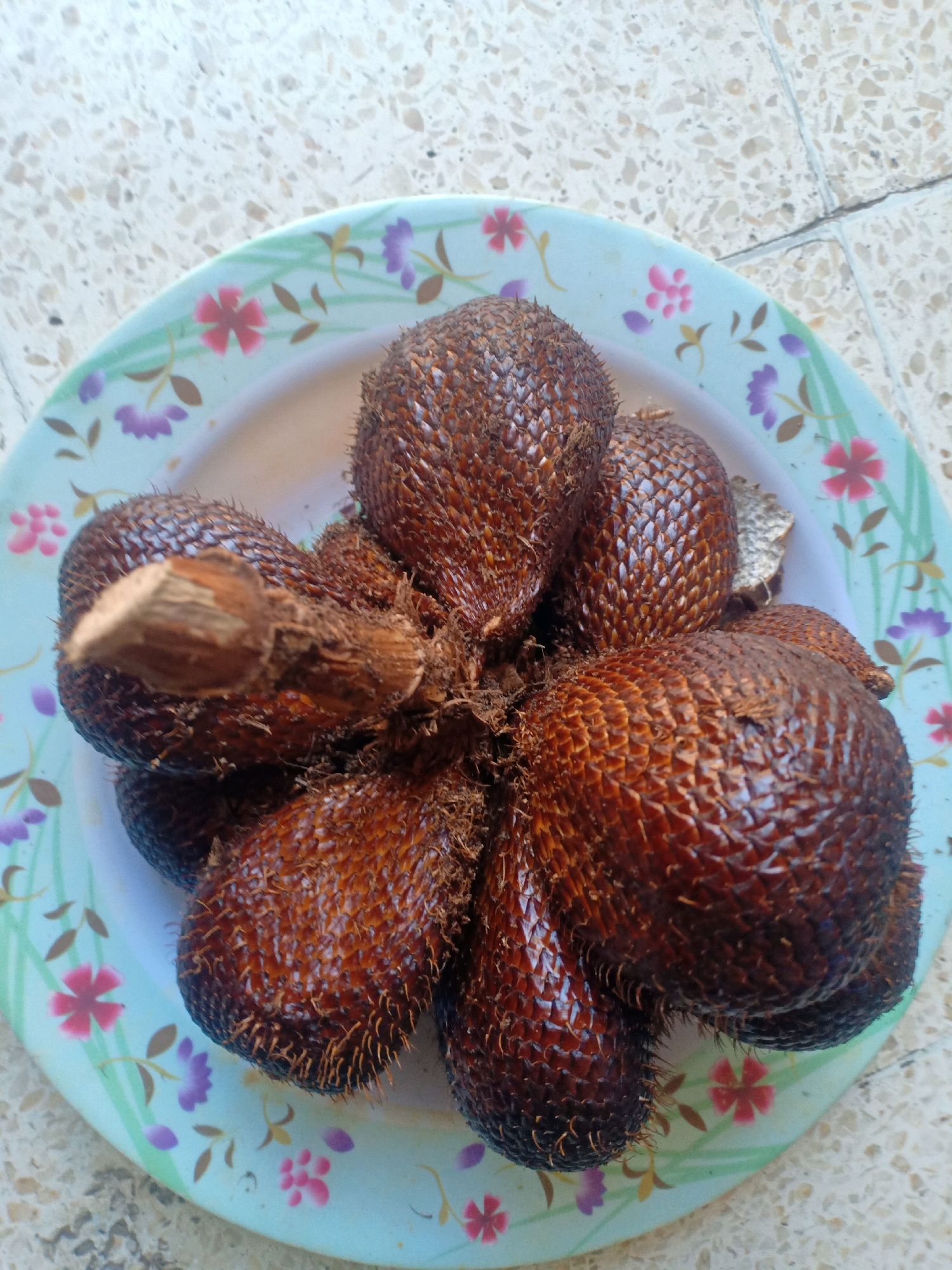 A cluster of salak, also known as snake fruit, is arranged on a light blue plate adorned with a floral pattern featuring pink and purple flowers and green leaves. The salak, with their reddish-brown, scaly skin and a pointed tip, are clustered together, some with a stem remnant attached. The plate rests on a speckled surface, likely a table or countertop, with visible grout lines suggesting it is tiled. The lighting is bright, casting minimal shadows, and the scene appears to be an indoor setting. The specific location in Lumajang, Indonesia, is not determinable from the visual information provided.