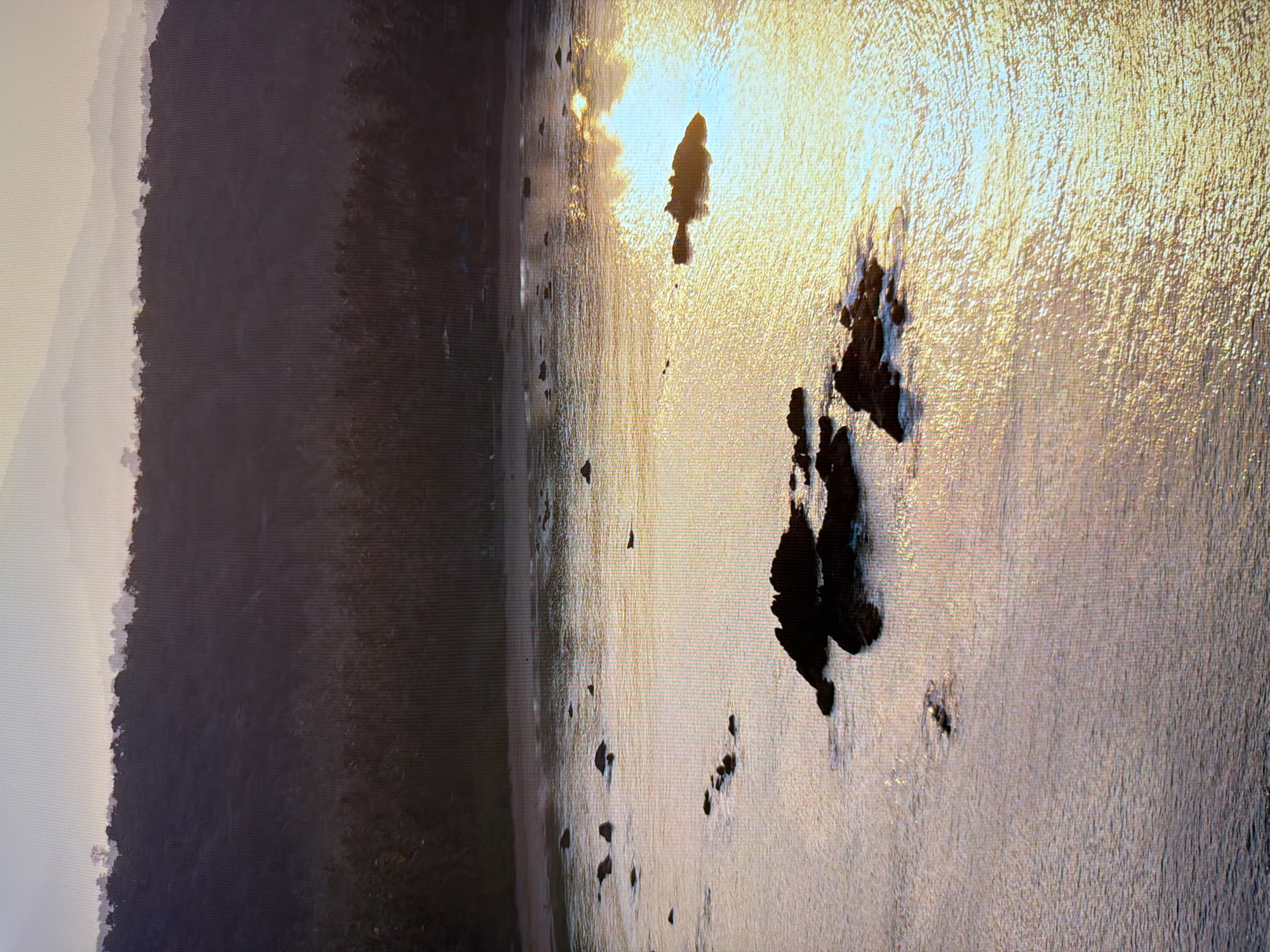 This is a landscape photograph taken from an elevated viewpoint, looking towards a coastline. The scene depicts a body of water with several dark, rocky outcrops emerging from it. The water reflects the warm, golden light of a setting or rising sun, creating shimmering patterns on the surface. In the background, a densely forested hillside rises, with a hazy, mountainous landscape visible in the far distance. The overall mood is serene and tranquil, characterized by soft light and muted colors. There is no indication that this image is located in the city of Kyiv, Ukraine.