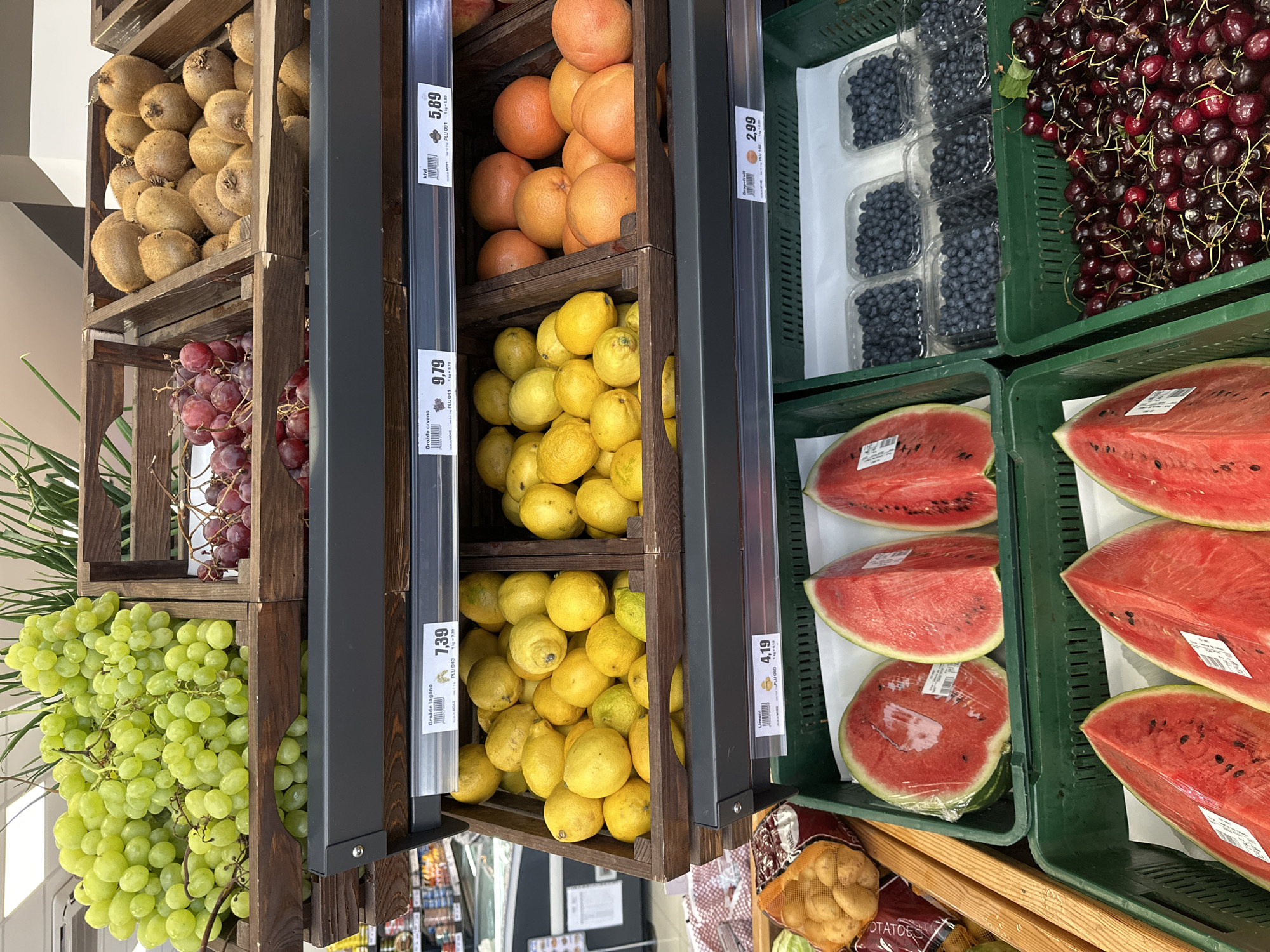 This is a close-up, eye-level shot of a display of fresh fruits in a grocery store, likely in Donji Pobori, Montenegro. The scene is brightly lit, suggesting daytime. The focus is on the vibrant colors and textures of various produce arranged in wooden crates and green plastic bins.
The display features several types of fruit. In the foreground, large bunches of light green grapes spill out of a wooden crate, with a smaller bunch of red grapes above them. To the right of the grapes, a wooden crate holds a collection of bright yellow lemons. Next to the lemons, a black price tag holder reads "4,19" and "Grožđe lagano 7,39" and "kivi 5,89". Further to the right, green bins contain stacks of sliced watermelons, some of which are wrapped in plastic. Another green bin holds small containers of dark blue blueberries, and next to that, a large pile of dark red cherries. A section of the display to the left shows a crate filled with fuzzy brown kiwis. A small bag of potatoes is visible in the bottom right corner.
The overall impression is one of abundance and freshness, highlighting the variety of fruits available in this setting. The image is a straightforward depiction of a produce section in a market. No people are visible. The visible text includes prices and fruit names in what appears to be a Slavic language.