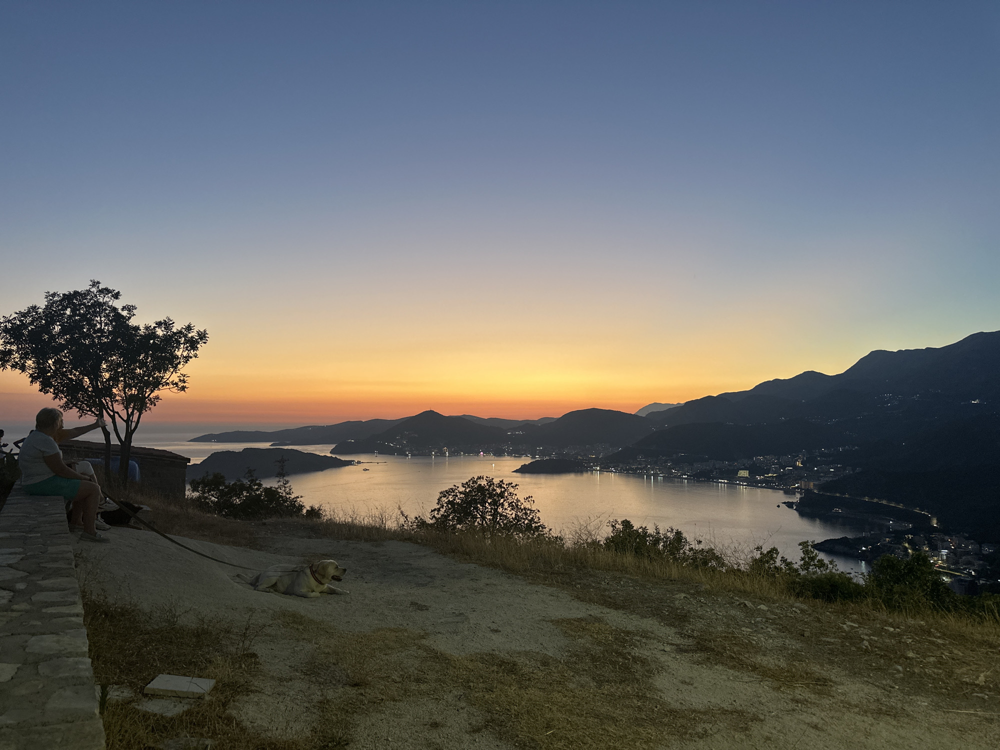 At dusk, a person is seated on a stone wall overlooking a bay in Sveti Stefan, Montenegro. The sky transitions from a deep blue overhead to hues of orange and yellow near the horizon, illuminating the tranquil water and silhouetted mountains. A tree with sparse foliage stands to the left of the seated figure, whose right hand is raised, possibly pointing at the scene. A light-colored dog lies on a leash on the ground in front of the wall. The city lights of Sveti Stefan are beginning to twinkle along the coastline, nestled within the dramatic landscape. The foreground consists of dry, sparse vegetation and dirt.