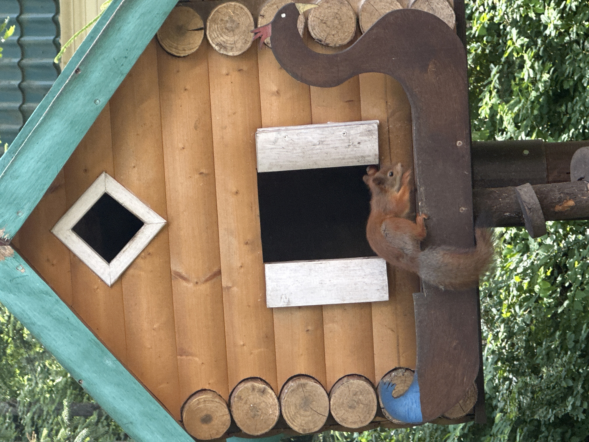 A red squirrel is captured in motion, clinging to a rustic wooden birdhouse. The birdhouse is constructed from vertical wooden planks and adorned with decorative circular wood pieces along its base and top. A stylized brown bird silhouette, with a red beak, is attached to the roof. A small, diamond-shaped window with a white frame is visible on the front of the birdhouse, and a dark rectangular opening sits above it. The squirrel, with its bushy tail extended, is positioned on the right side of the birdhouse, appearing to be climbing or reaching for something. The background consists of lush green foliage, suggesting an outdoor setting, likely during daylight. The scene is devoid of any visible text. The overall impression is a charming and lively snapshot of wildlife interacting with a handmade structure.