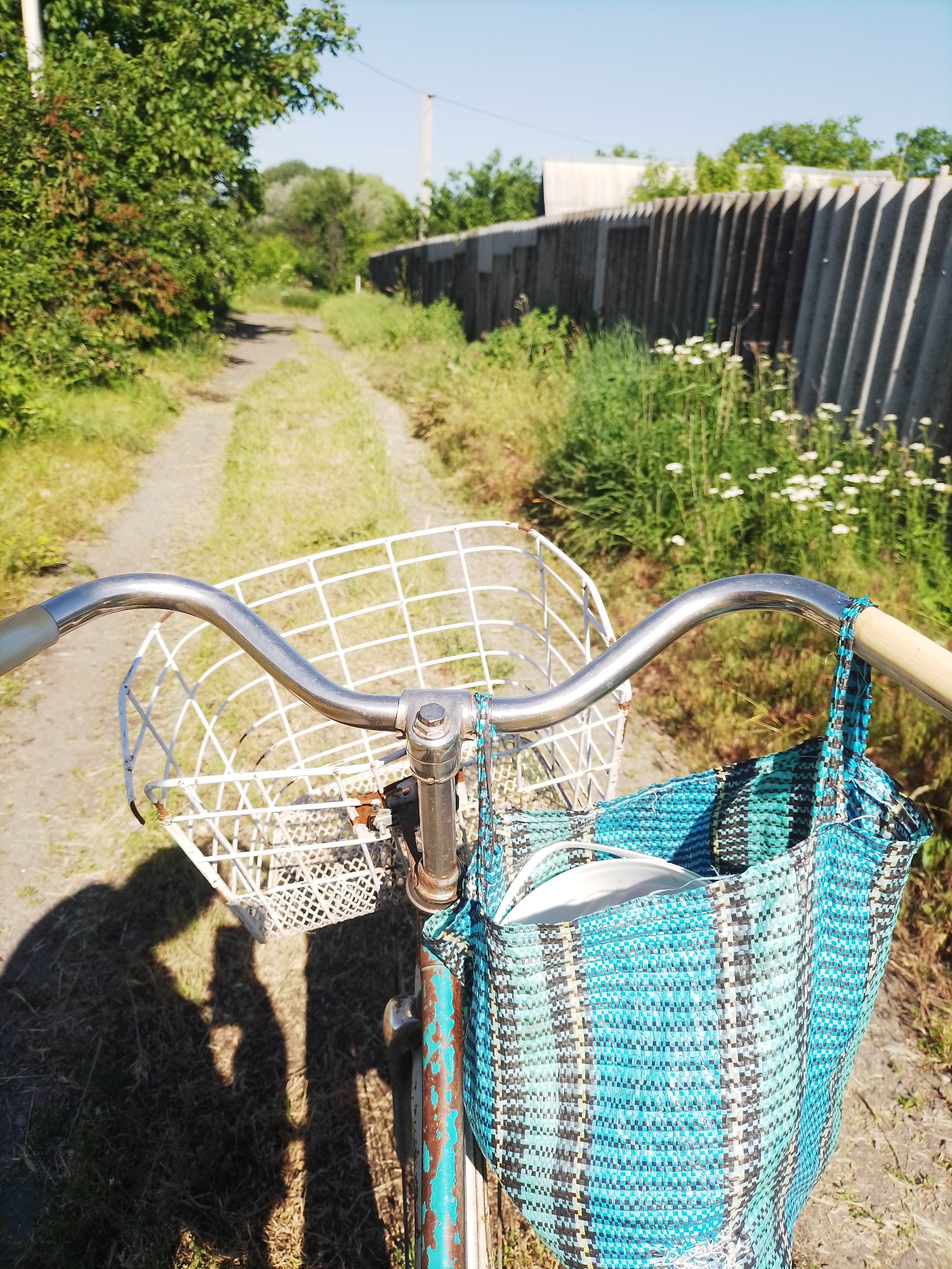 The image presents a first-person view from a stationary bicycle on a sunny day in Ustyvytsia, Ukraine. The handlebars of the bicycle, a shiny metallic silver, are prominent in the foreground. Attached to the front is a white wire basket, showing some signs of rust. On the right handlebar, a woven bag in shades of blue, black, and white hangs down, containing a white dish or bowl. The bicycle's frame, partially visible, exhibits peeling turquoise paint and rust, indicating its age and use.
The bicycle is positioned on a dirt path with visible tire tracks, flanked by green grass. On the left side of the path, lush green bushes and trees create a dense natural border. To the right, a long, grey corrugated fence runs parallel to the path, partially hidden by tall grass and scattered white wildflowers. A utility pole is visible in the distance against a clear blue sky.
A distinct shadow of a person, holding what appears to be a phone or camera, is cast on the ground to the left of the bicycle, revealing the photographer's perspective. The strong sunlight and the length of the shadow suggest the photograph was taken in the morning or late afternoon. The setting conveys a peaceful, rural or semi-rural environment. There is no visible text in the image.