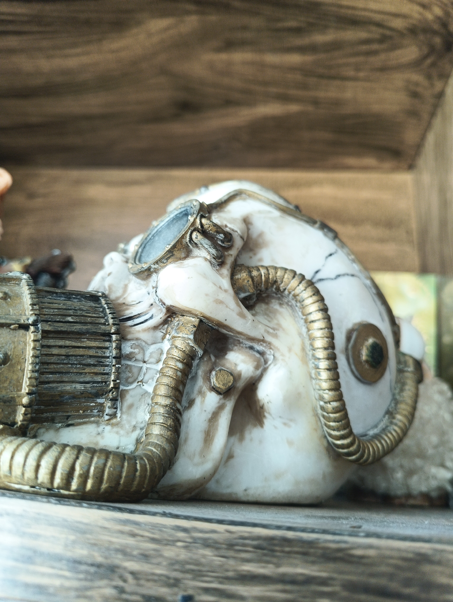 The image shows a close-up, side-view of a steampunk-themed skull figurine placed on a wooden surface, which is likely a shelf. The skull is intricately detailed with metallic accents, including a ribbed hose-like tube wrapping around it and what appears to be a gear or mechanical component attached to the side. The background consists of a wooden wall or shelf, suggesting an indoor setting. There is no indication of the city of Karnobat, Bulgaria, in the image.