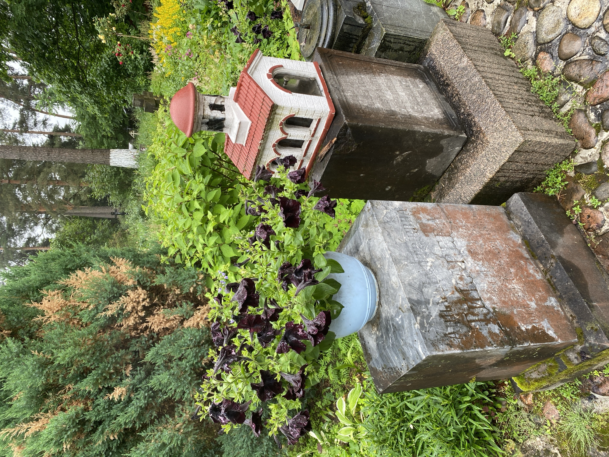 The image depicts a tranquil, overcast scene at the Kozlovskoye Cemetery in Priozersk, Russia. A prominent feature is a small, intricately detailed model of a chapel with a red tiled roof and white walls adorned with arched windows. This model sits atop a dark, weathered stone monument, which in turn rests on a rough-hewn granite base. To the left, a light blue pot overflows with deep purple petunias, their velvety petals glistening with moisture. The pot is placed on another grey stone monument with weathered inscriptions, moss, and reddish-brown stains. The surrounding environment is lush and green, with dense foliage, including coniferous trees with some dry brown branches, and various shrubs and flowers in the background. The ground is paved with irregularly shaped, wet cobblestones, indicating recent rain. The overall impression is one of solemn beauty and enduring remembrance within a natural, yet curated, setting.