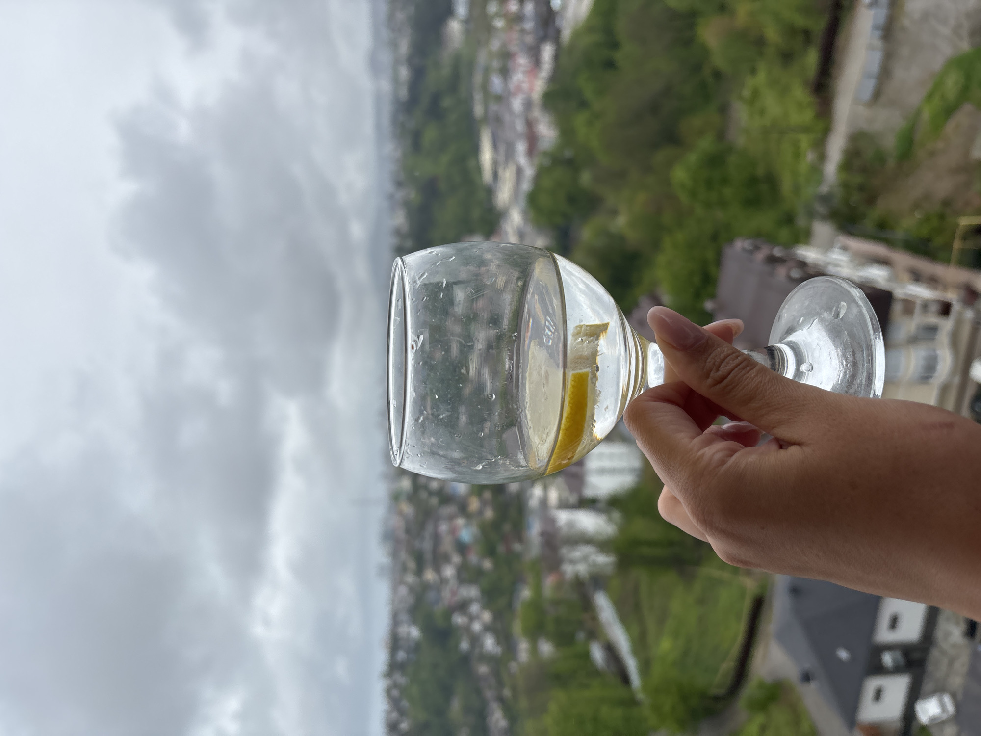 A person holds a clear glass filled with water and a lemon slice against the backdrop of a cloudy sky and a cityscape. The city appears densely populated with buildings and trees, suggesting a location near the edge of a mountainous area, possibly Sochi, Russia, known for its coastal mountains. The buildings in the background vary in height and color. The foreground focuses on the glass and the hand holding it, with droplets visible on the glass surface.