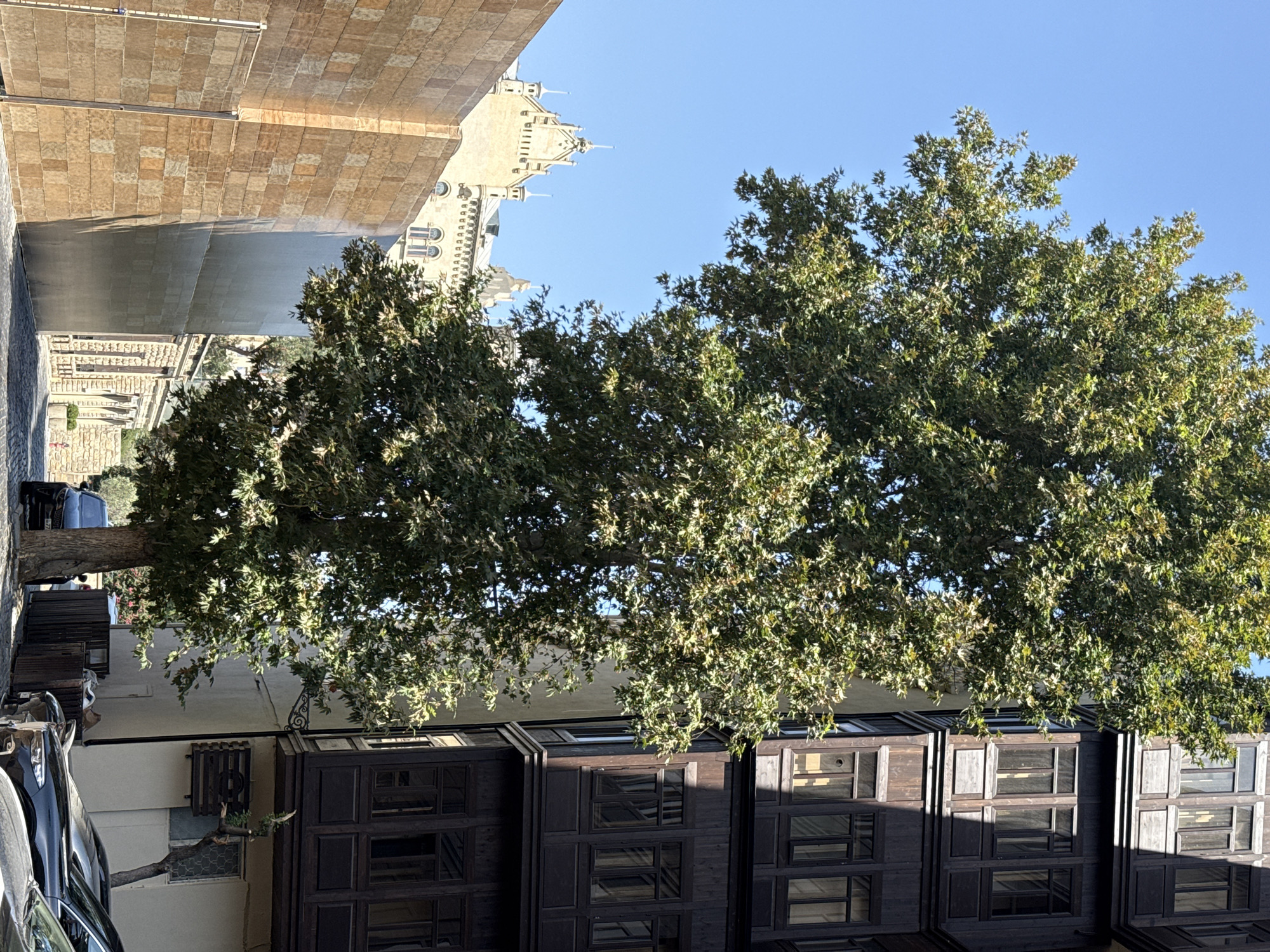 In the city of Sabail Raion, Azerbaijan, a tall tree with lush green foliage stands prominently in the foreground. To its right, a dark wooden building features multiple balconies with intricately paneled windows, creating a strong vertical line. The building's dark wood contrasts with the lighter, textured stone facade of a building to the left. In the background, a pale, ornate building with spires and arched windows is visible beneath a clear blue sky. The street level shows parked black cars and a cobblestone pavement, suggesting an urban setting. The overall scene depicts a juxtaposition of historical architecture and nature, bathed in bright sunlight.