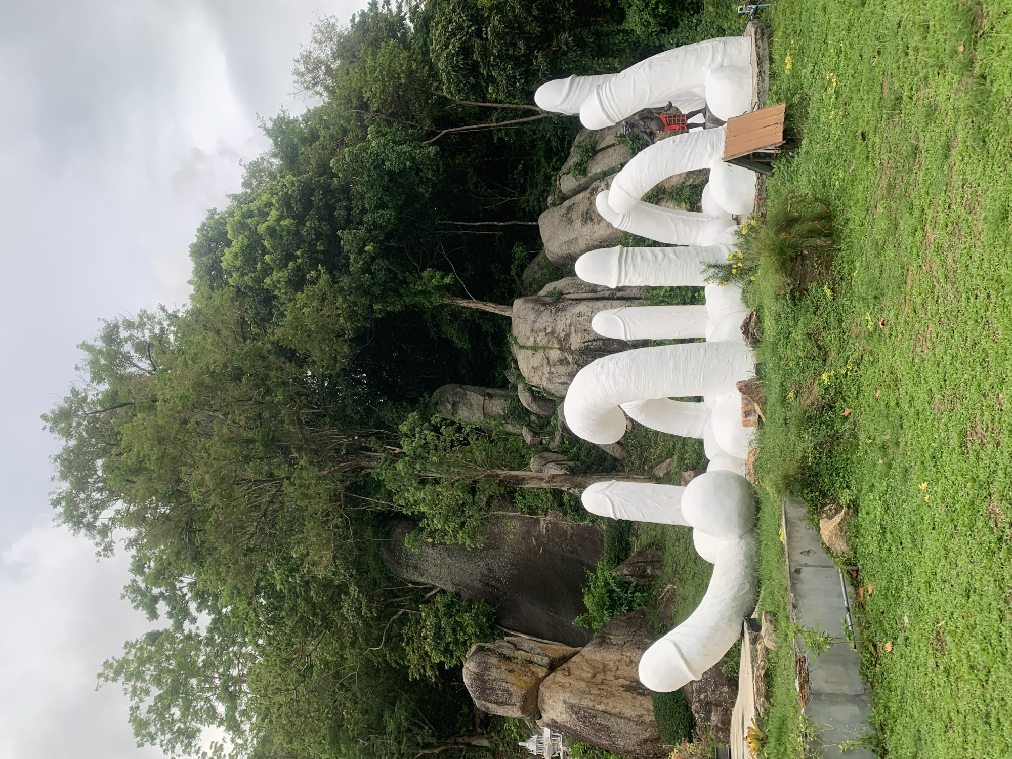 This media file captures an outdoor scene featuring a series of large, white, phallic-shaped sculptures positioned upright along what appears to be a natural rock formation or pathway. The sculptures ascend from left to right across the image.
The background is dominated by a dense, verdant hillside covered with lush green trees and interspersed with large, grey, natural rock formations. The sky above is overcast and light grey, suggesting a cloudy day.
In the foreground and to the right of the sculptures, a vibrant green grassy area with scattered small yellow wildflowers is visible. A concrete or stone pathway or retaining wall runs alongside the base of the white sculptures. Near the center-right of the image, a small wooden structure with a brown, sloped roof can be seen amidst the grass. Further along the row of sculptures, a dark-colored statue or figurine, partially adorned in red, is discernible behind one of the white forms.
The overall setting is natural and verdant, reflecting a tropical environment. This type of distinctive sculpture is often associated with fertility symbols or unique artistic installations in tourist or cultural sites, particularly in locations like Baan Lamai, Thailand. No specific activity is taking place, and no text is visible within the image.