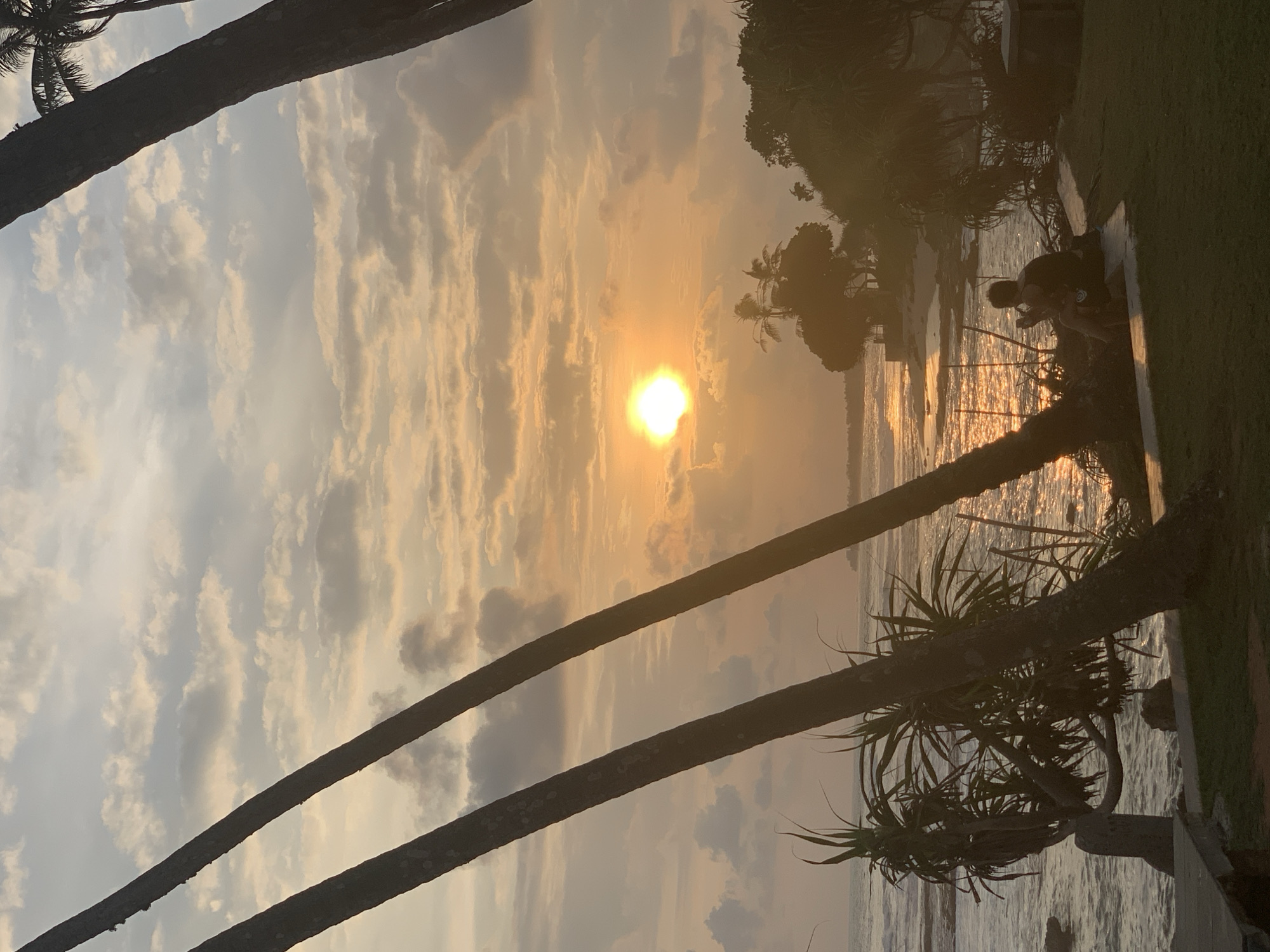 Captured in Habaraduwa, Sri Lanka, the photograph depicts a beach scene at sunset. The sun, a bright orb, is partially obscured by clouds, casting a golden glow over the water. Two palm tree trunks frame the view, angling across the image. On the right side, a person is crouching near the water's edge. Lush green vegetation borders the scene. The ocean surface reflects the sunlight, creating shimmering patterns.