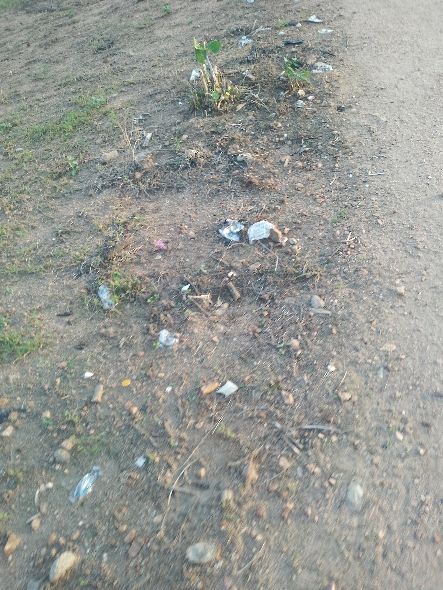 The image depicts a ground-level view of a dirt path or unpaved road, likely located on the outskirts of Jalingo, Nigeria. The ground is a mixture of dry soil, scattered pebbles, and sparse, dry vegetation. Several pieces of litter are visible, including plastic wrappers and what appears to be a discarded plastic bottle. The overall scene suggests an area that is not well-maintained and experiences human activity, evidenced by the presence of trash. The lighting indicates it is either early morning or late afternoon, with long shadows cast on the ground. There are no people or animals clearly visible in the frame.