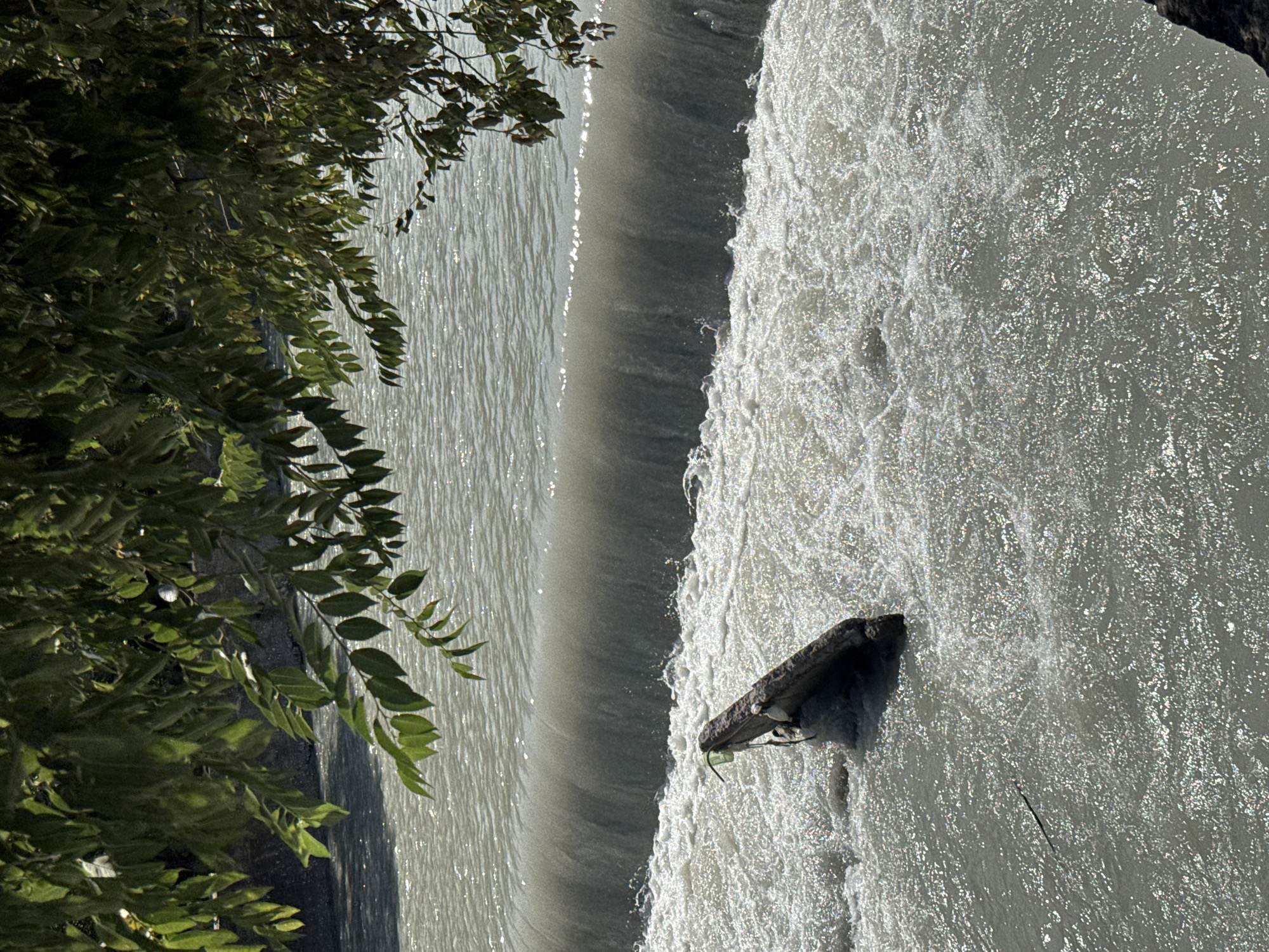 A horizontal, medium shot captures a section of the Ala-Archa River in Bishkek, Kyrgyzstan, on a sunny day. The river flows over a small, man-made weir, creating a frothy cascade. A partially submerged log, dark brown and angled, rests in the turbulent water just before the weir. Overhanging branches with lush green leaves frame the top of the image, casting dappled shadows on the water. The sunlight reflects off the water's surface, creating a shimmering effect. The riverbanks appear to be made of concrete or stone. No people are visible in the scene.