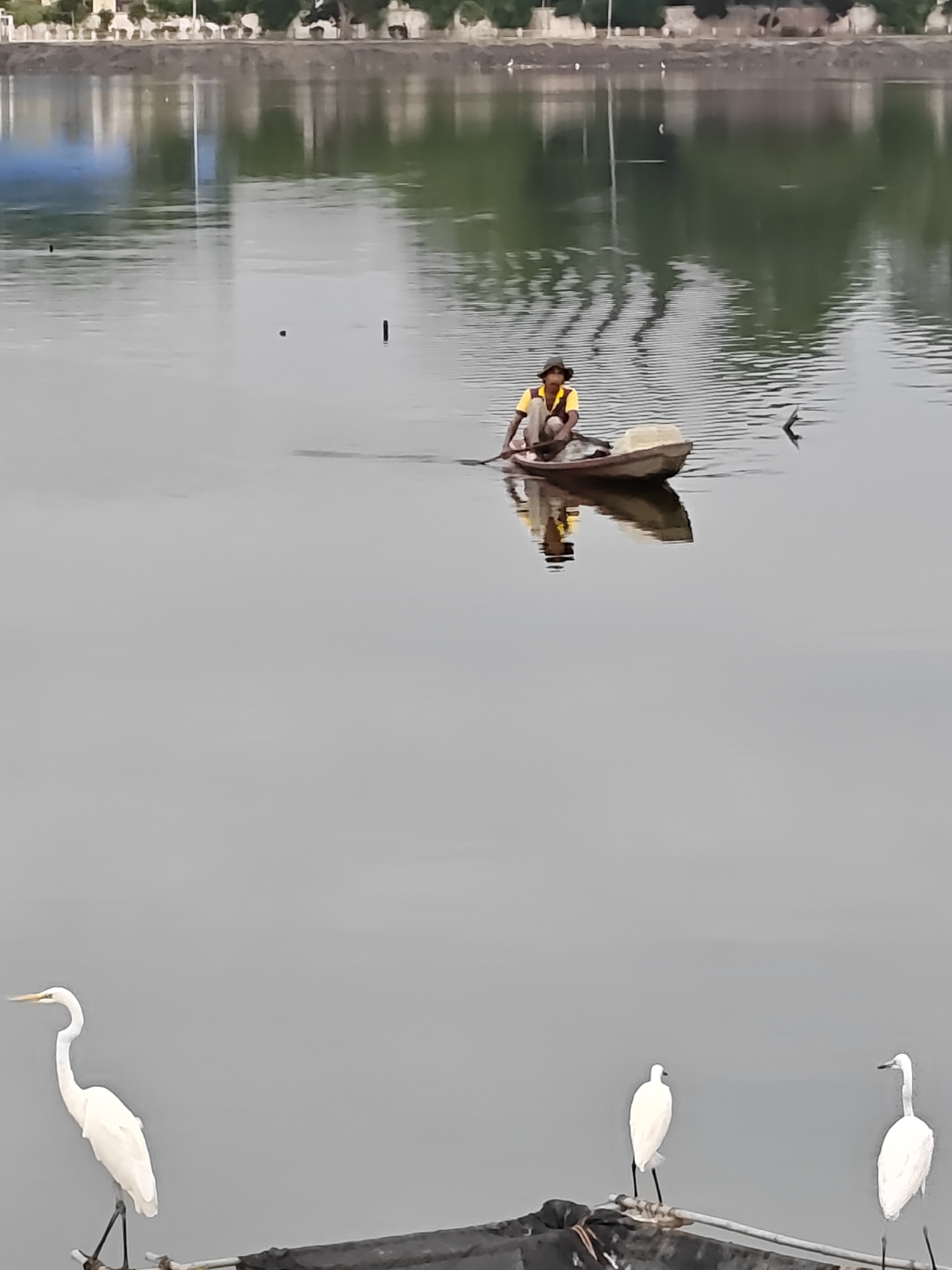 A lone fisherman in a small boat navigates a calm body of water, likely a reservoir or lake, with a city skyline visible in the background. The fisherman, wearing a yellow shirt and a hat, is seated in the boat and appears to be using a paddle. Several white egrets are perched on a structure in the foreground, their reflections visible in the still water. The scene suggests a peaceful, everyday moment in Lhokseumawe, Indonesia.