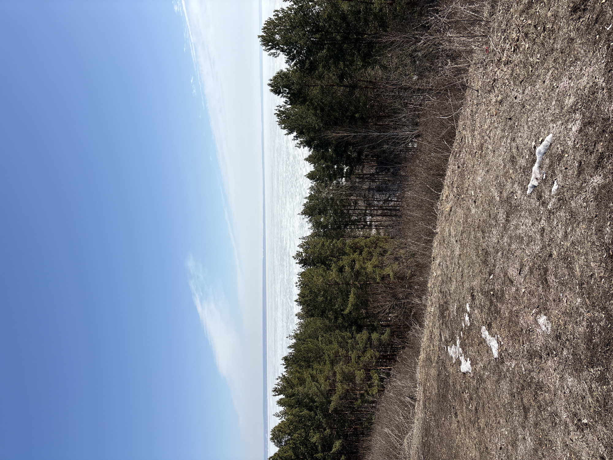 The image shows a view from a hillside overlooking a body of water, possibly the Volga River. The water is largely covered with ice. A line of evergreen trees separates the hillside from the water. The hillside is covered with dry grass and patches of snow. The sky is blue with thin clouds. The location is likely in the city of Ulyanovsk, Russia.